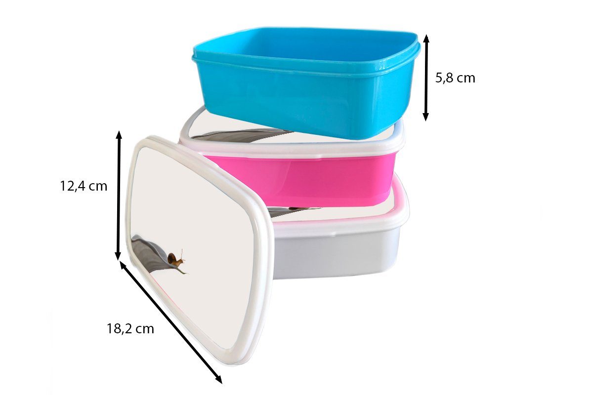 Lunchbox für Kunststoff MuchoWow Brotdose Schnecke Kinder, (2-tlg), rosa Kunststoff, Lilie - Snackbox, Mädchen, Erwachsene, Brotbox - Grau,