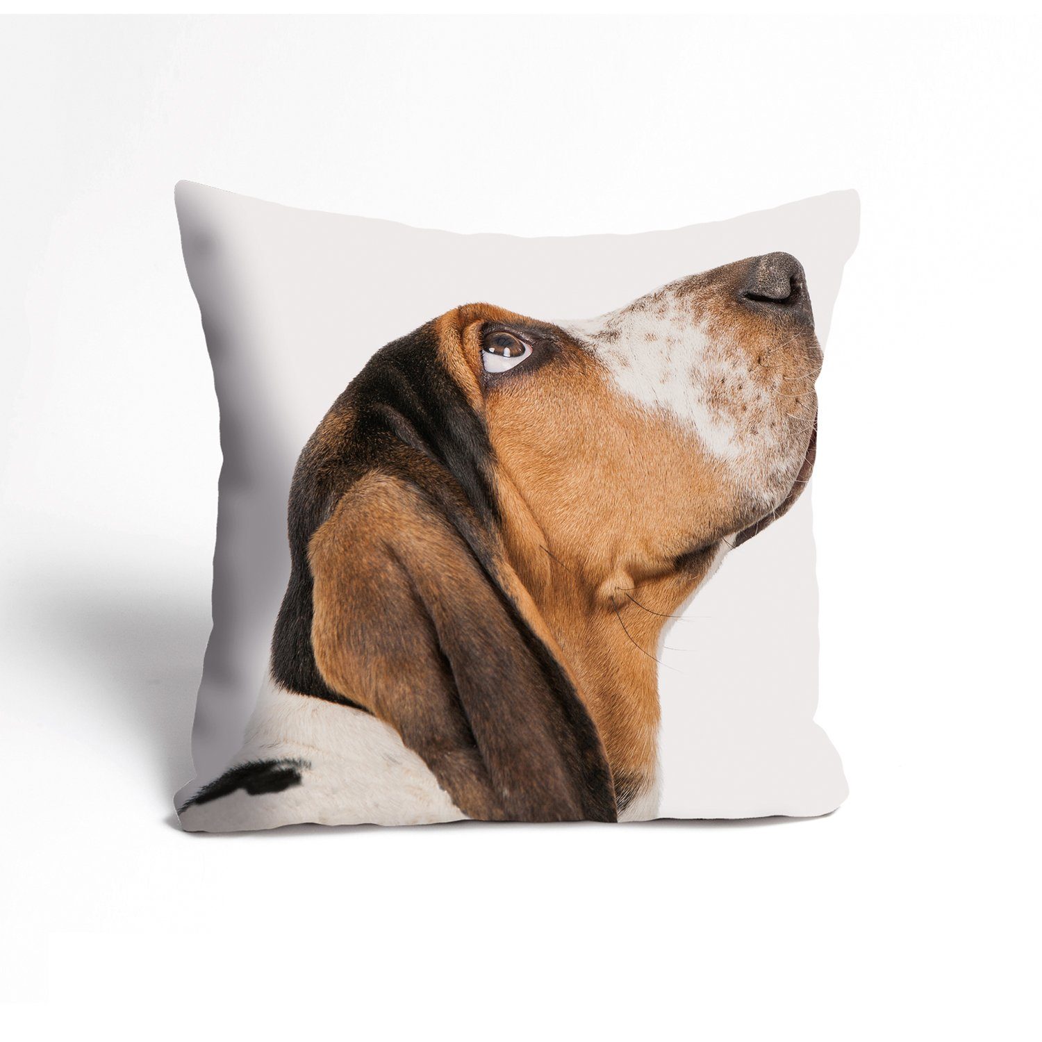 Kissenbezug Beagle - Hund - Kissenhülle - Zierkissenbezug, queence (1 Stück), 40x40cm - mit Reißverschluss | Kissenbezüge