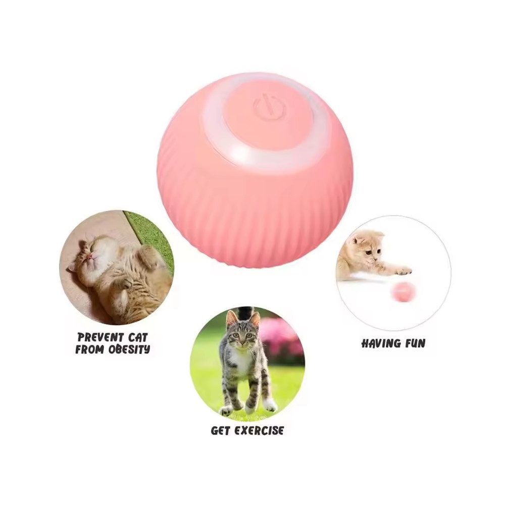 Petsation Tier-Intelligenzspielzeug Petsation Elektrischer Katzenball – günstig online kaufen