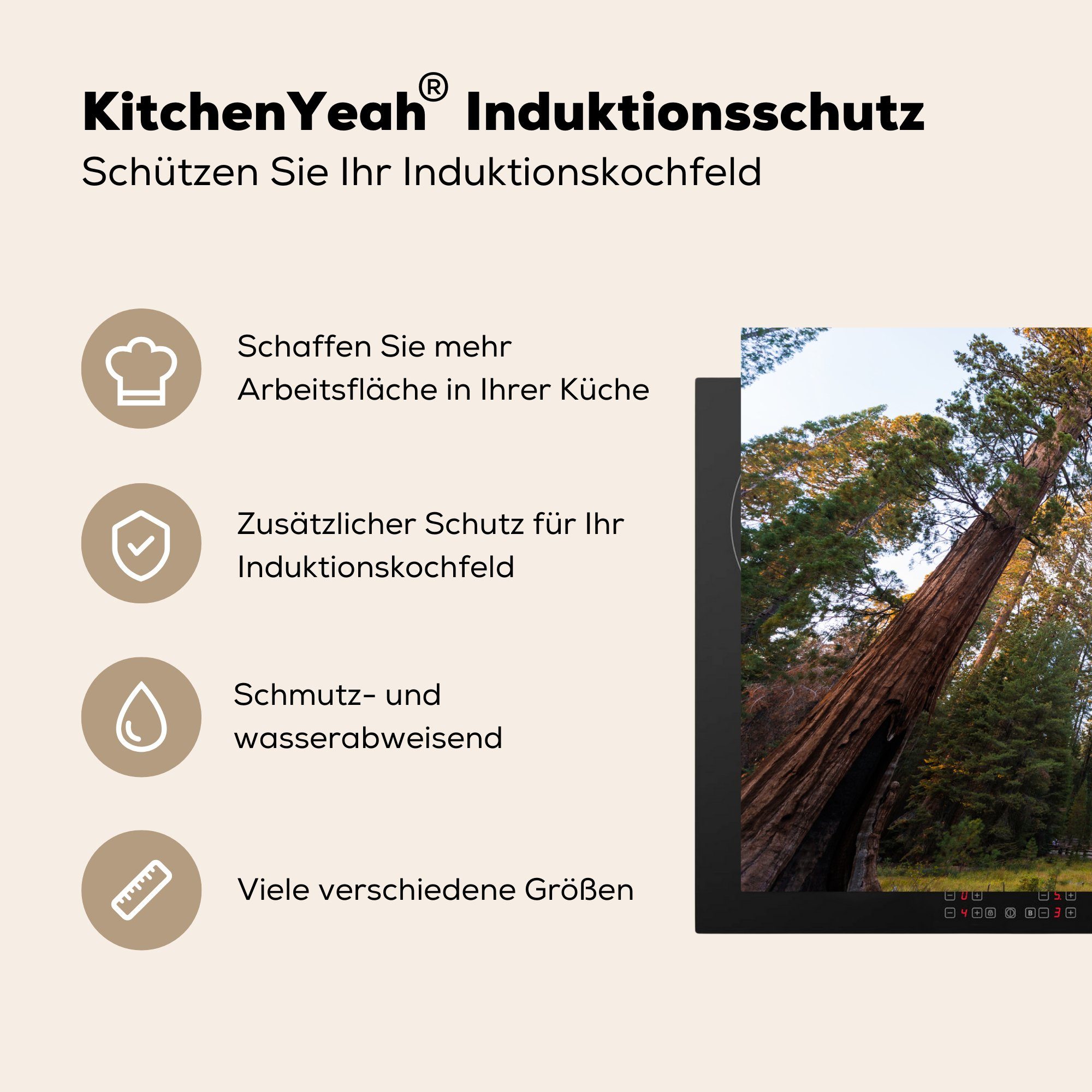 MuchoWow Herdblende-/Abdeckplatte Riesenmammutbäume Ceranfeldabdeckung Vereinigten cm, in küche, National 81x52 die Vinyl, (1 den Park im tlg), für Induktionskochfeld Staaten, Sequoia Schutz