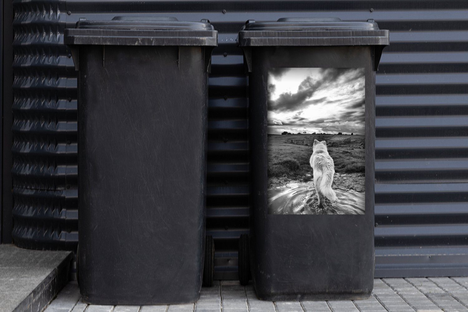 Abfalbehälter mit Wolf Wandsticker Landschaft Sticker, die Container, MuchoWow Weiß Mülltonne, in Mülleimer-aufkleber, Blick Schwarz auf St), und (1