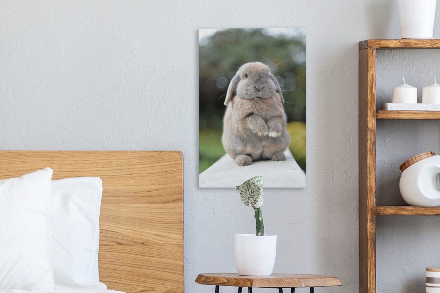 Gemälde, Zackenaufhänger, Tiere, fertig Jung inkl. cm Kaninchen Leinwandbild - - (1 OneMillionCanvasses® St), bespannt Leinwandbild 20x30