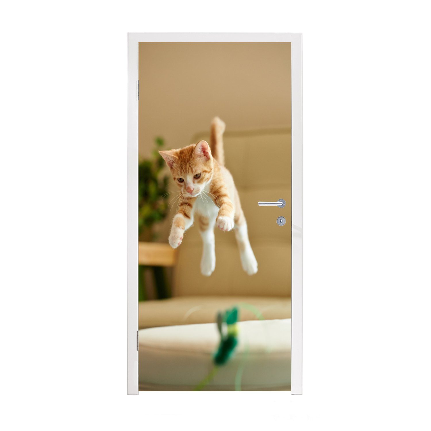 (1 Spielzeug, - Fototapete Katze cm 75x205 für Springen Türtapete MuchoWow Matt, Türaufkleber, Tür, St), bedruckt, -