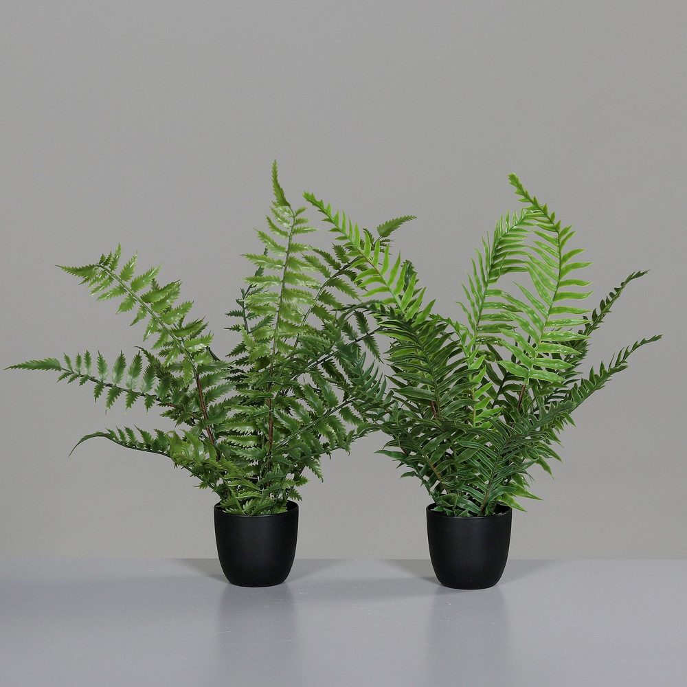 Kunstblume Kunstpflanze - Farn - im Topf - ca. 36 cm - 1 Stück, DPI, Höhe 3 günstig online kaufen