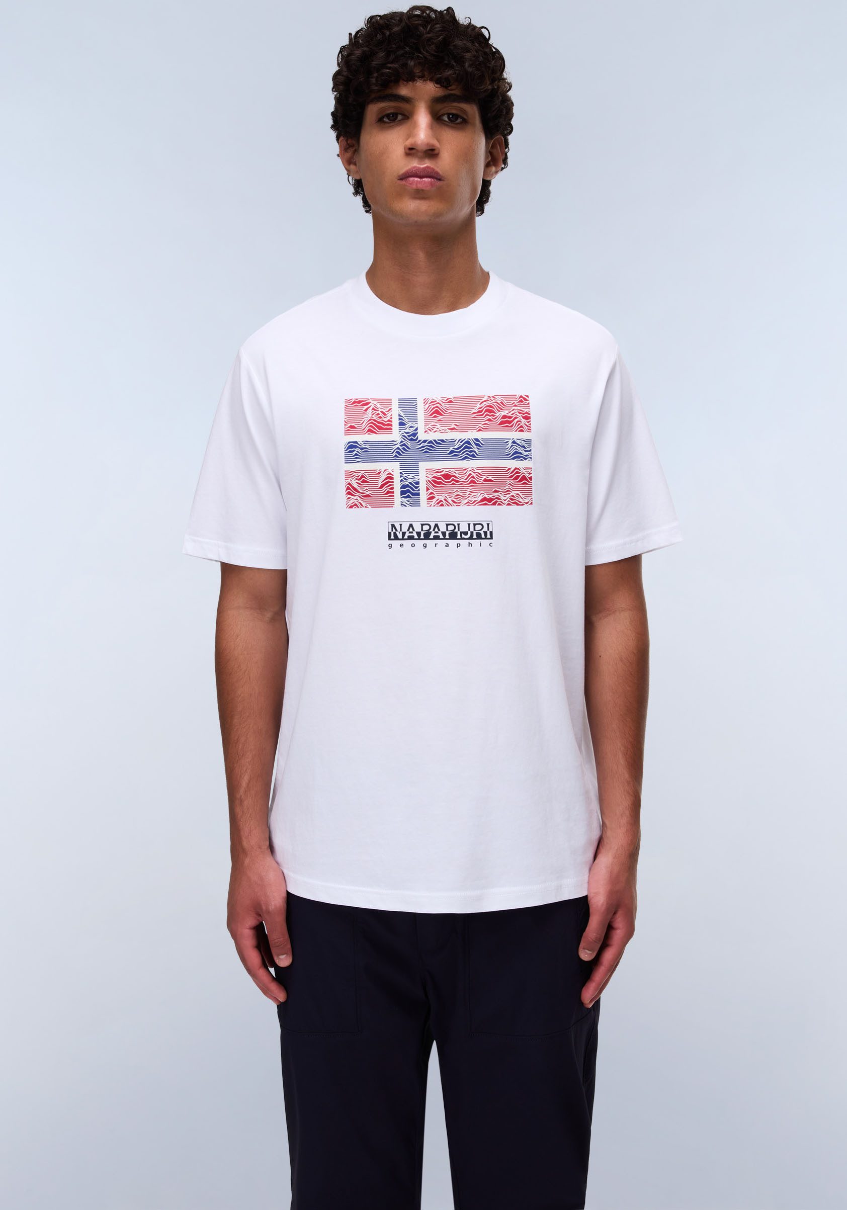 Napapijri T-Shirt DRAPEAU mit Print, Rundhals, Jersey