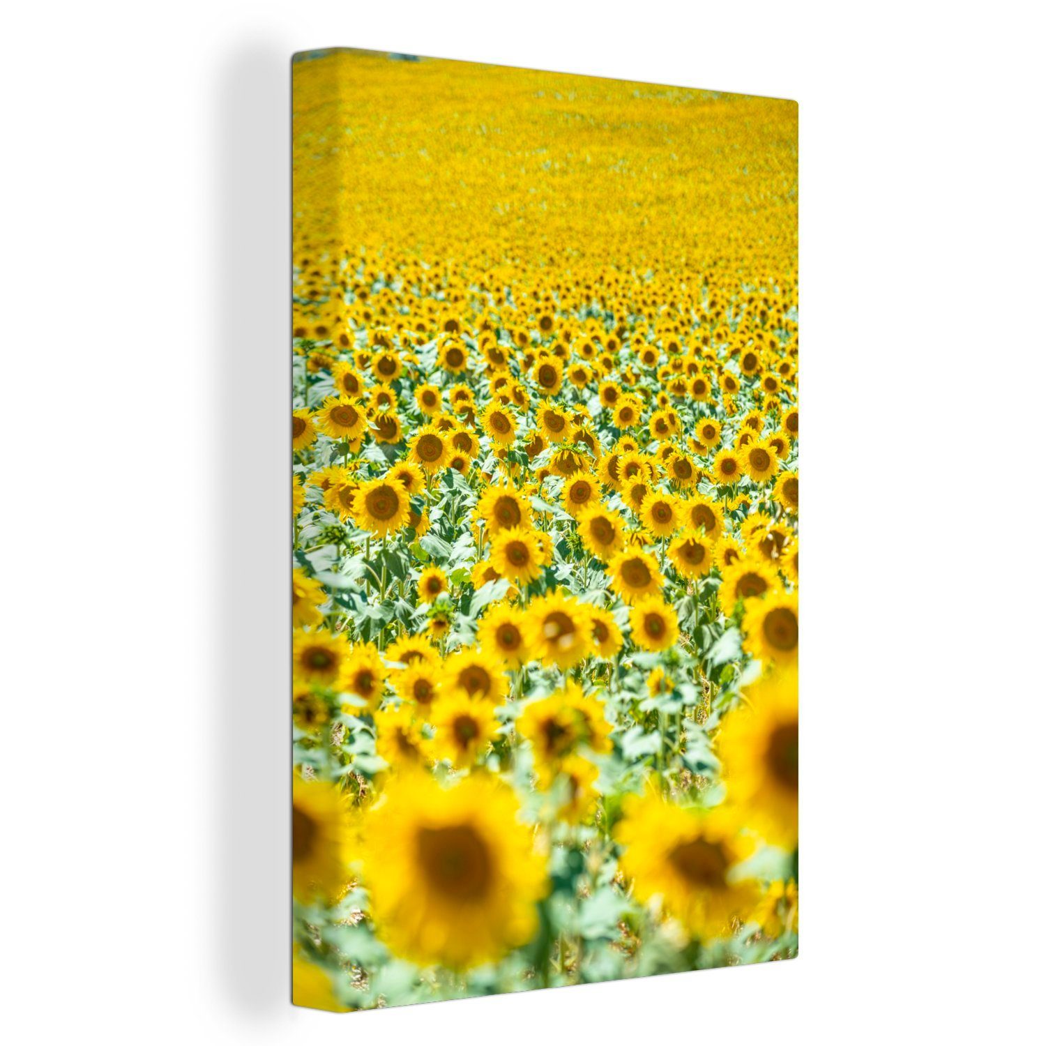 OneMillionCanvasses® Leinwandbild Italien - Sonnenblumen - Gelb, (1 St), Leinwandbild fertig bespannt inkl. Zackenaufhänger, Gemälde, 20x30 cm | Leinwandbilder