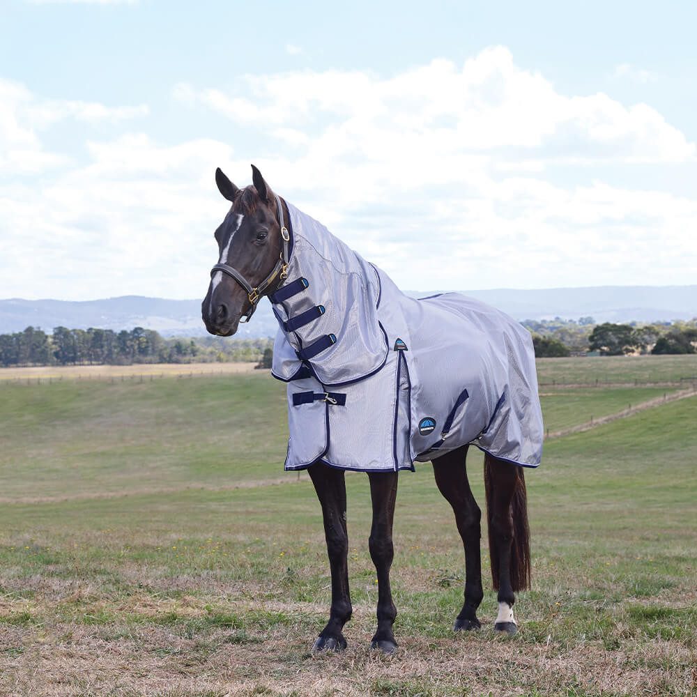 Pferde-Fliegendecke Weatherbeeta Comfitec Hexi Shield Fly Sheet Combo