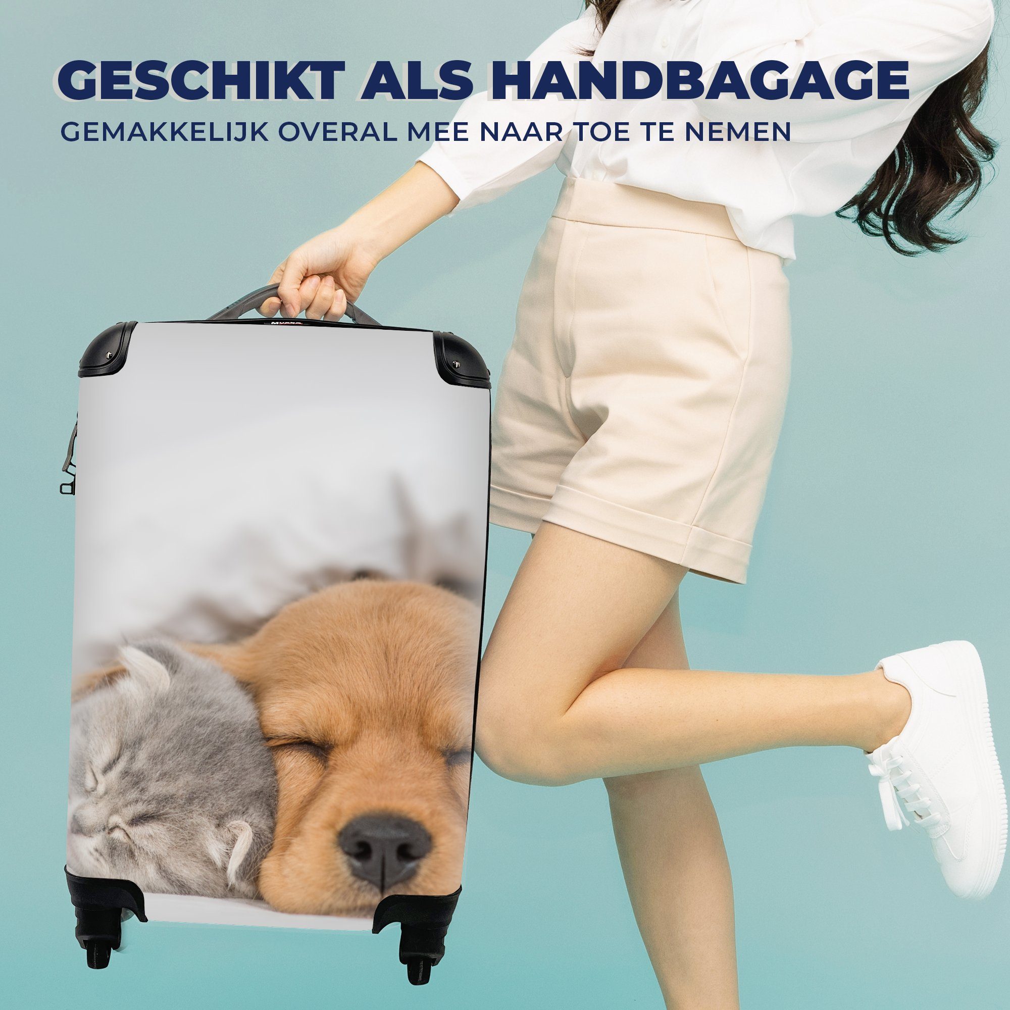 Hund Handgepäck rollen, für - - Reisetasche Handgepäckkoffer Ferien, mit Decke, 4 Reisekoffer Katze Haustiere MuchoWow Trolley, Rollen, -
