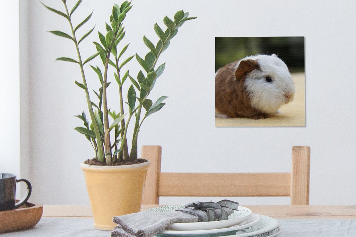 Bilder Schlafzimmer Junges OneMillionCanvasses® Wohnzimmer für (1 Leinwand St), Meerschweinchen, Leinwandbild