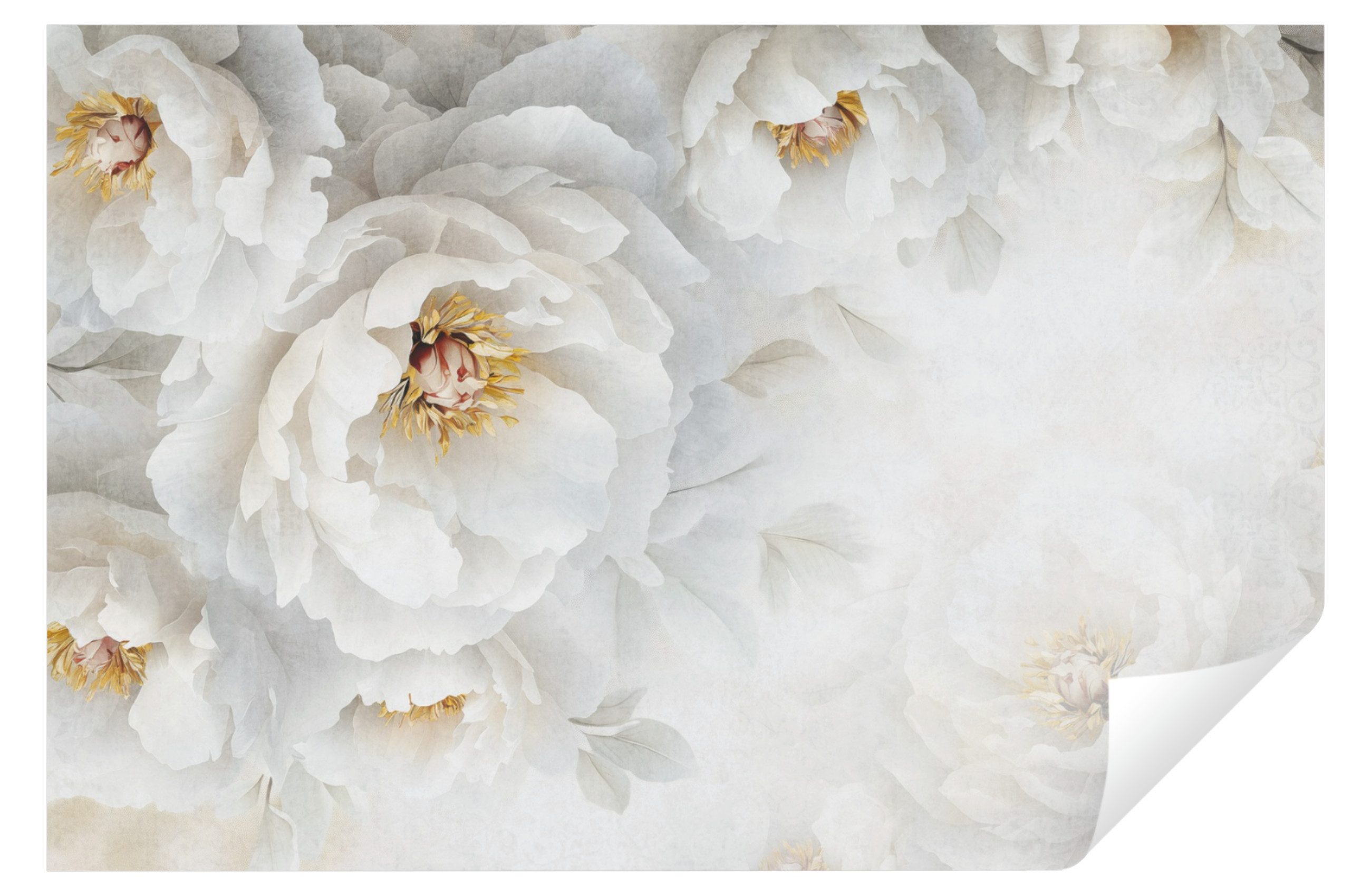 Wallarena Fototapete Blumen Pfingstrosen Vlies Tapete günstig online kaufen