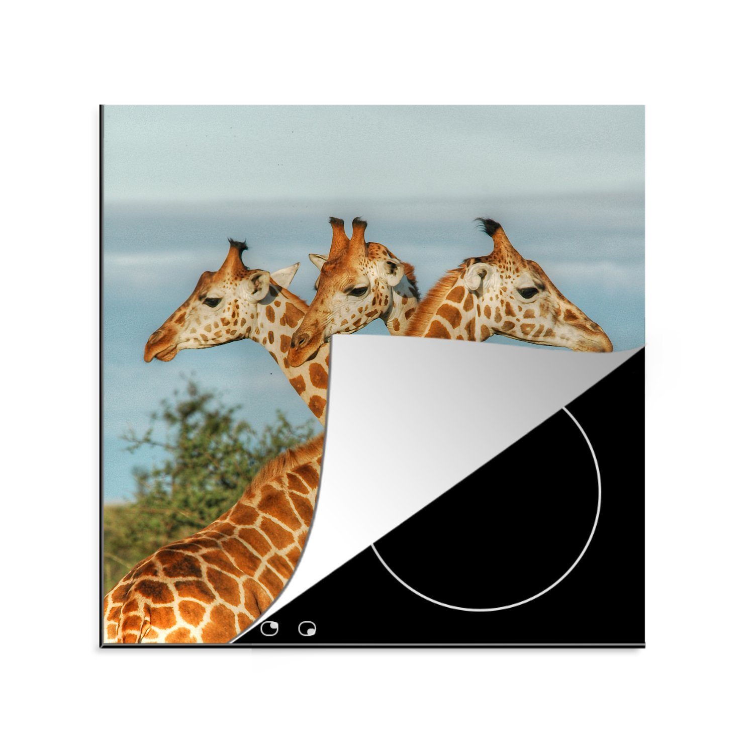 MuchoWow Herdblende-/Abdeckplatte Giraffen - Luft - Tiere, Vinyl, (1 tlg), 78x78 cm, Ceranfeldabdeckung, Arbeitsplatte für küche