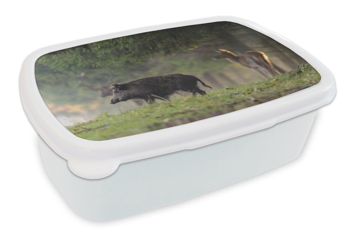 MuchoWow Lunchbox Schwein - (2-tlg), Kunststoff, Brotbox Jungs - Erwachsene, für Brotdose, für weiß Hirsch und Mädchen Kinder Wald, und