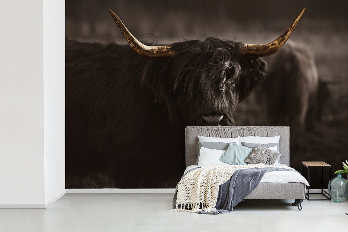 Schlafzimmer, Fototapete Tapete St), (6 Wohnzimmer, Vinyl Matt, - bedruckt, Schwarz weiß, Scottish Tier Kinderzimmer, Highlander für und Wallpaper - MuchoWow
