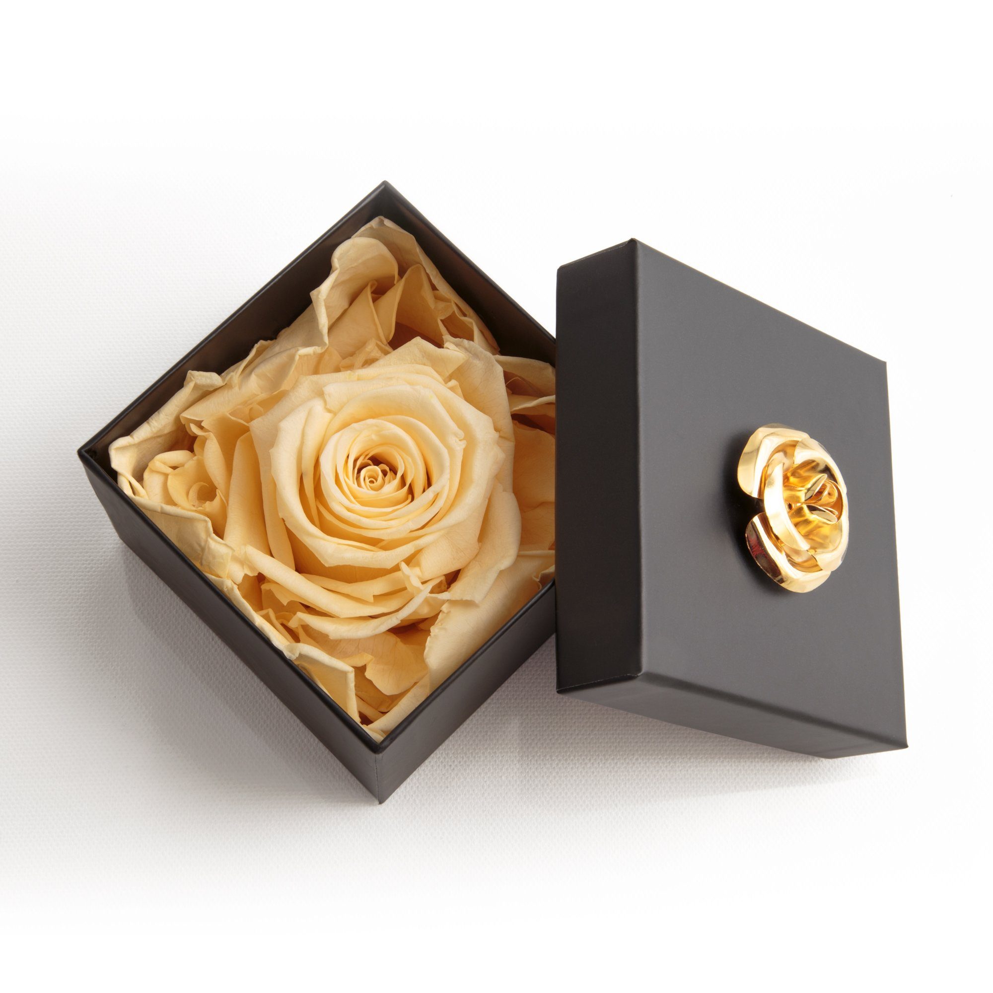 Kunstblume 1 Infinity Rose haltbar 3 Jahre Rose in Box mit Blumendeckel Rose, ROSEMARIE SCHULZ Heidelberg, Höhe 6.5 cm, Echte Rose haltbar bis zu 3 Jahre beige