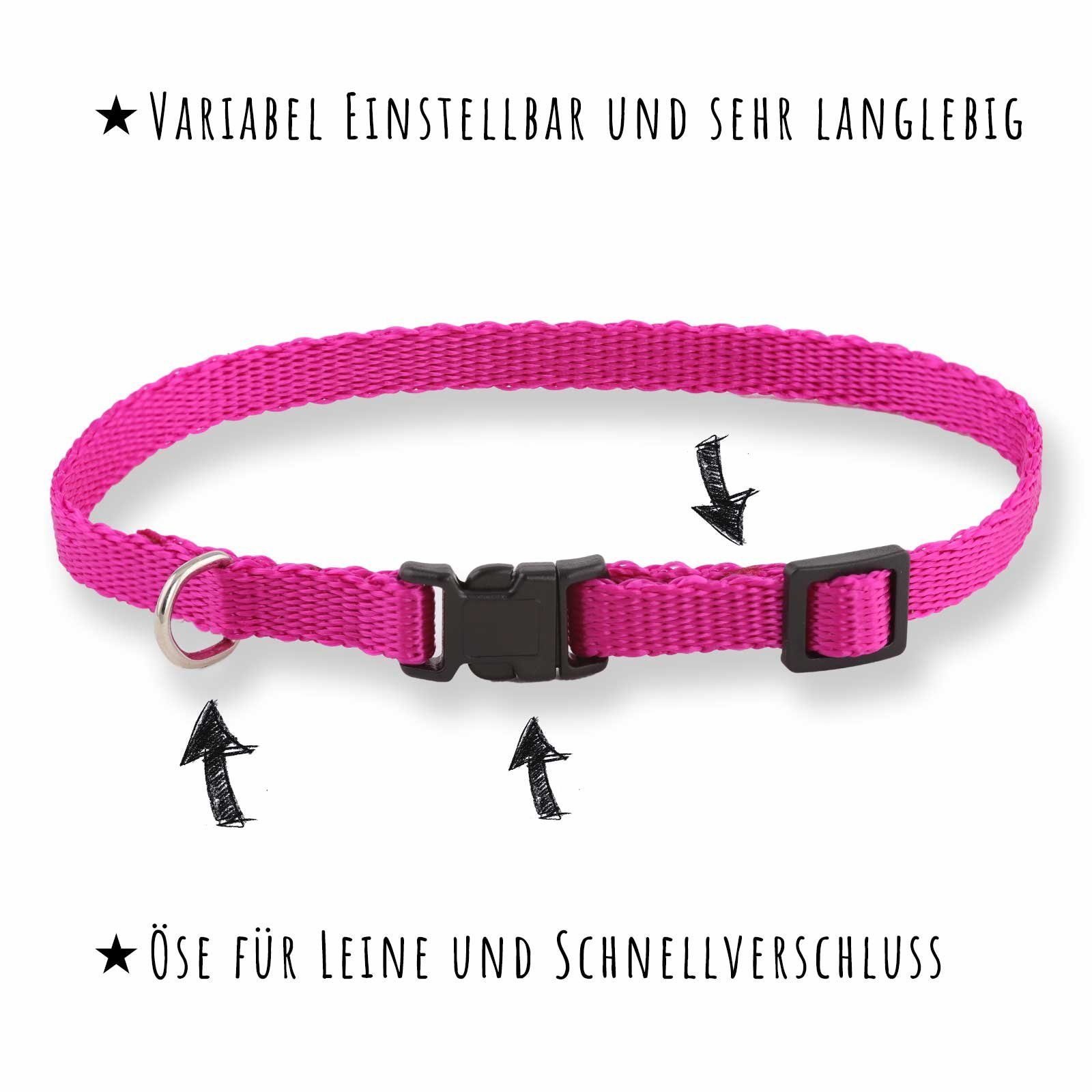 Monkimau Hunde-Halsband Hundehalsband aus Nylon, Nylon, verstellbar