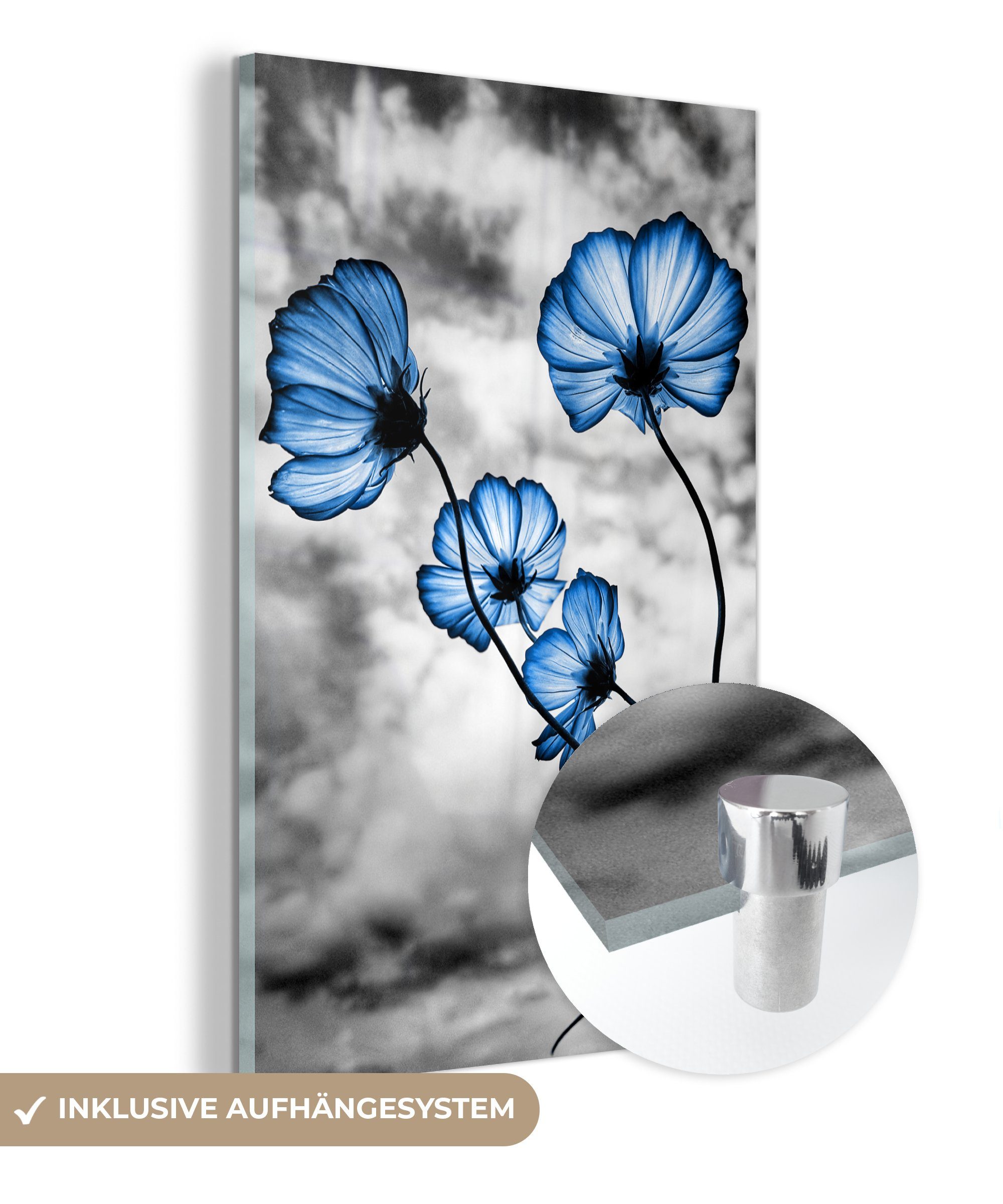MuchoWow Acrylglasbild Blumen - Blau - Schwarz - Weiß, (1 St), Glasbilder - Bilder auf Glas Wandbild - Foto auf Glas - Wanddekoration