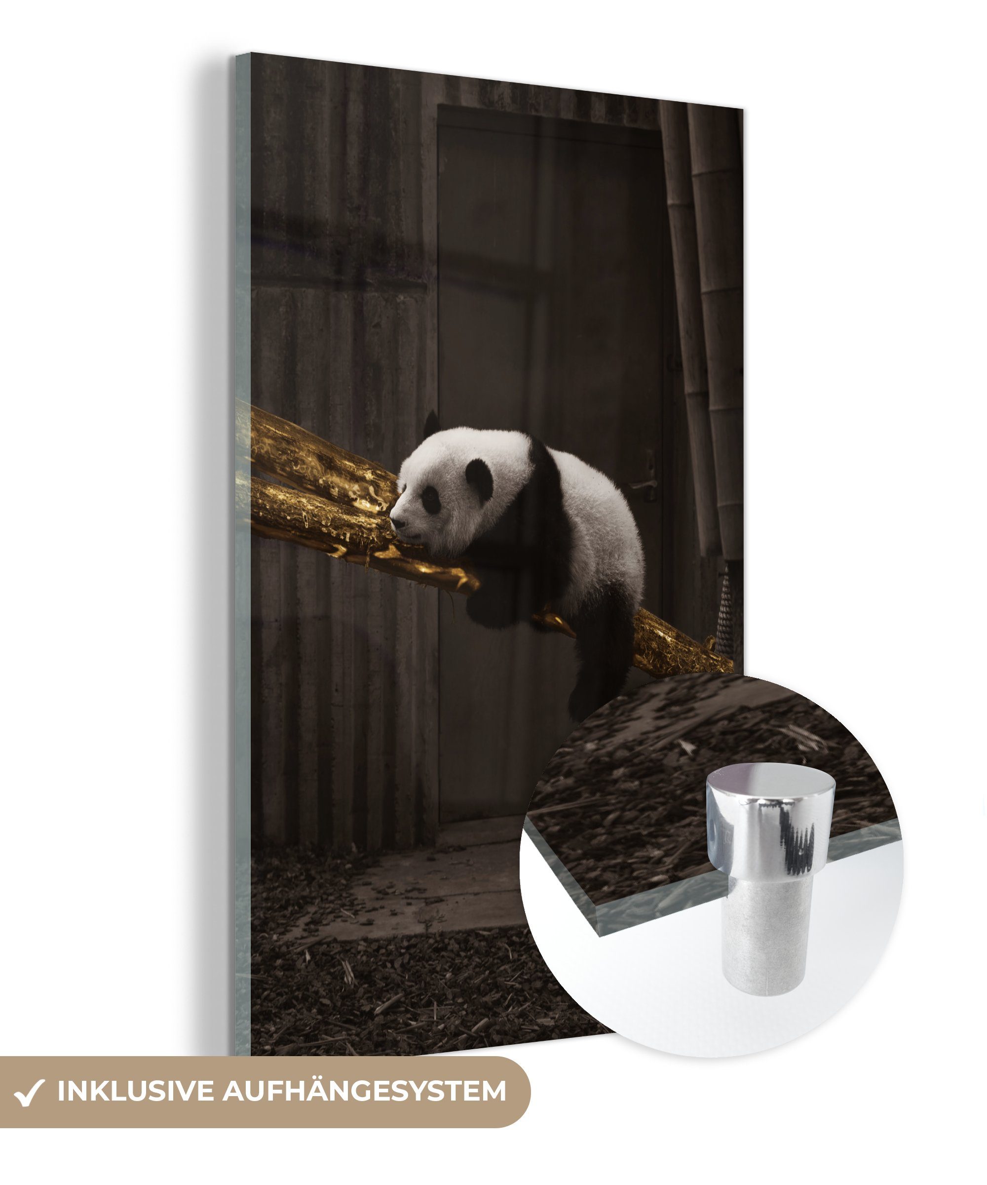 MuchoWow Acrylglasbild Panda - Gold - Schwarz, (1 St), Glasbilder - Bilder auf Glas Wandbild - Foto auf Glas - Wanddekoration