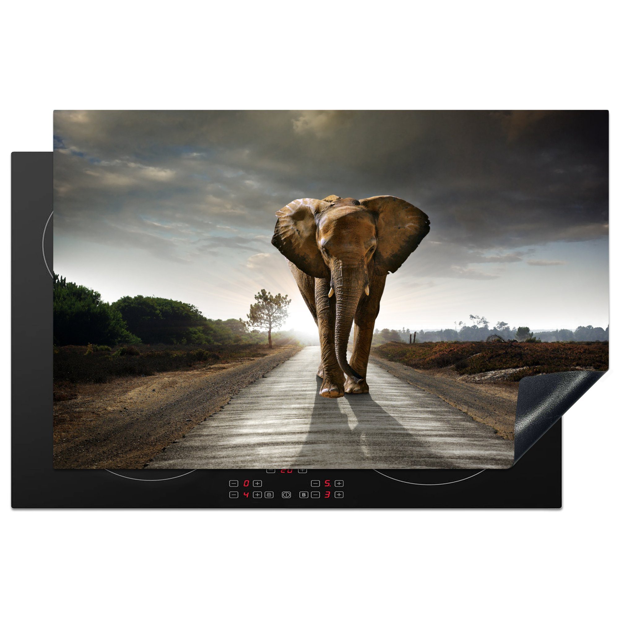 MuchoWow Herdblende-/Abdeckplatte Elefant - Natur - Straße, Vinyl, (1 tlg), 81x52 cm, Induktionskochfeld Schutz für die küche, Ceranfeldabdeckung