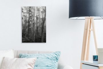 OneMillionCanvasses® Leinwandbild Australien - Wald - Schwarz - Weiß, (1 St), Leinwandbild fertig bespannt inkl. Zackenaufhänger, Gemälde, 20x30 cm