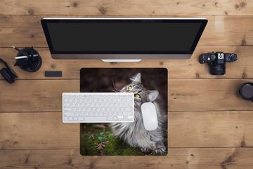 MuchoWow Gaming Mauspad Eine graue Maine Coon Katze (1-St), Mousepad mit Rutschfester Unterseite, Gaming, 40x40 cm, XXL, Großes