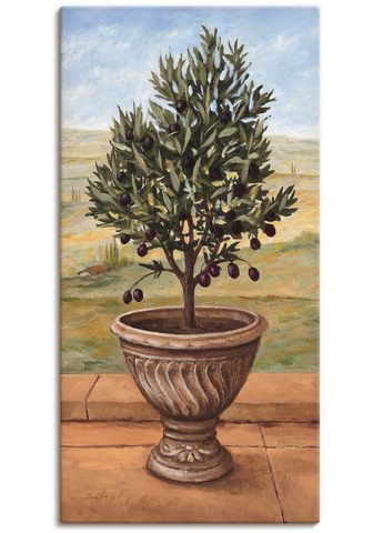 Artland Paveikslas »Olivenbaum« Pflanzen (1 vi...