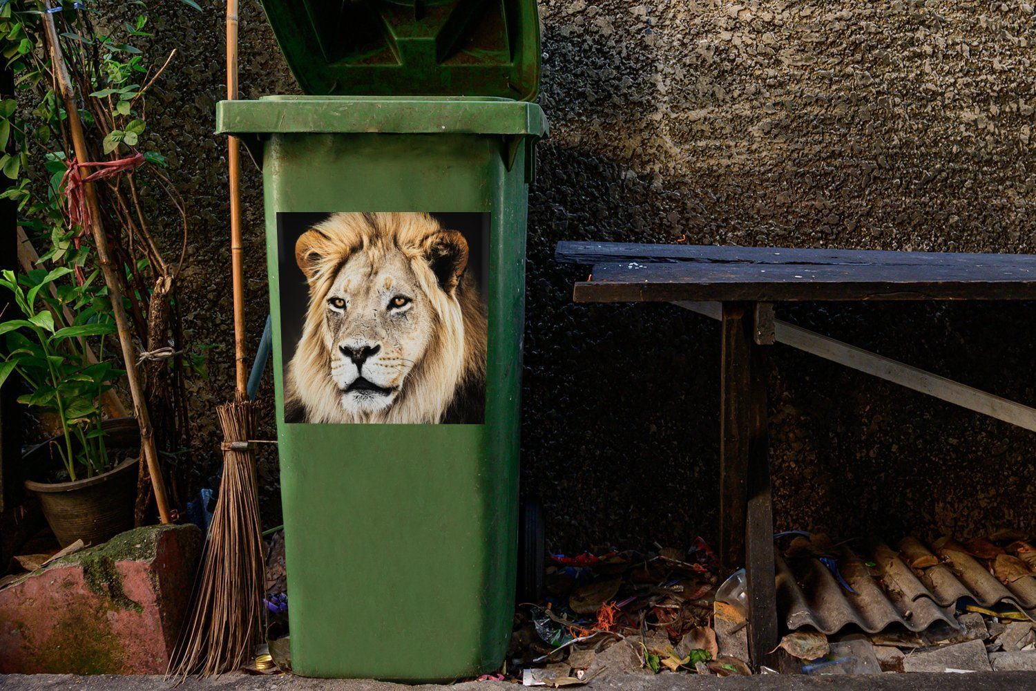 - Löwen (1 Abfalbehälter Wandsticker - Mülleimer-aufkleber, St), Container, Farben Mülltonne, Raubtier Sticker, MuchoWow