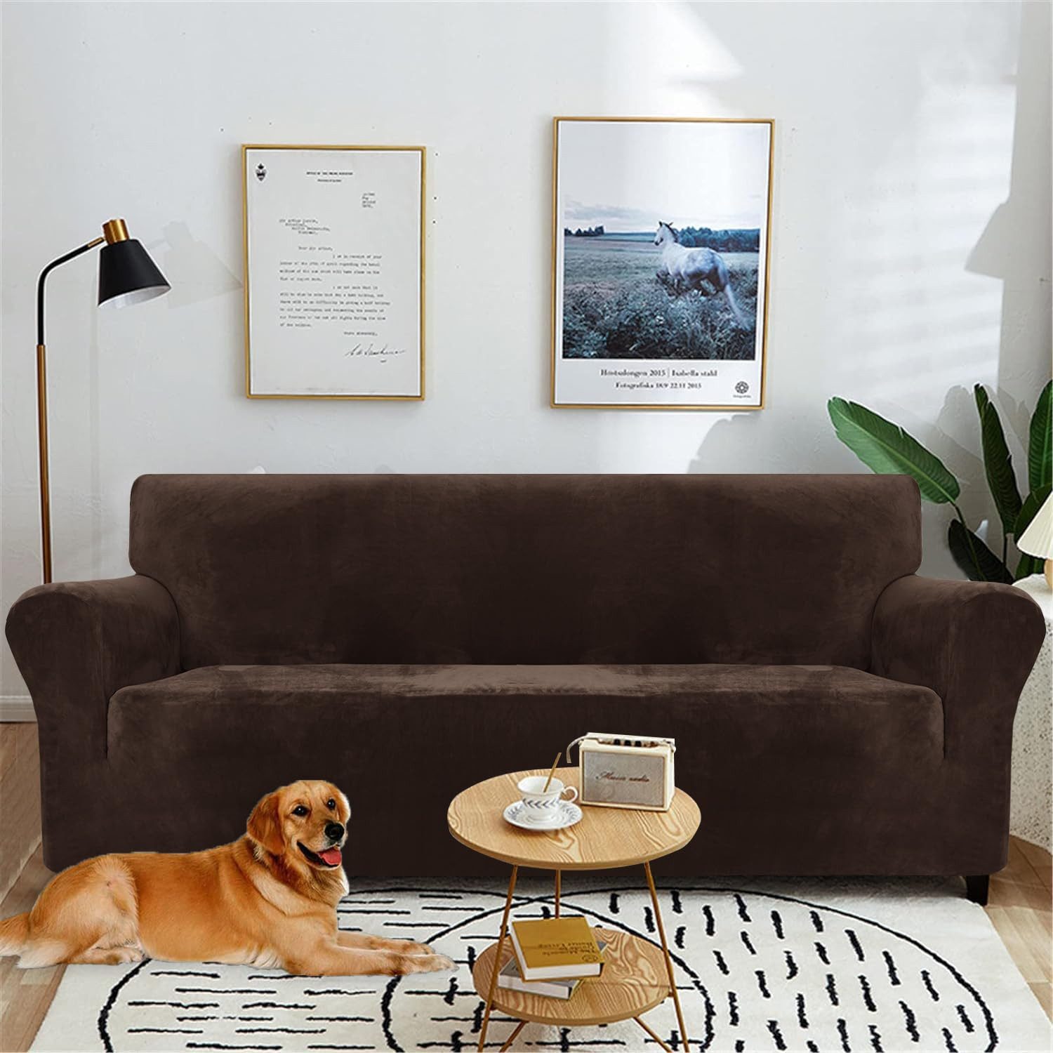 Diwzbyn Sofahusse Velvet Sofabezüge 1/2/3/4-Sitzer Stretch rutschfeste Couchbezug, für Hunde Katze Haustierfreundlich – Bild 2 von 5