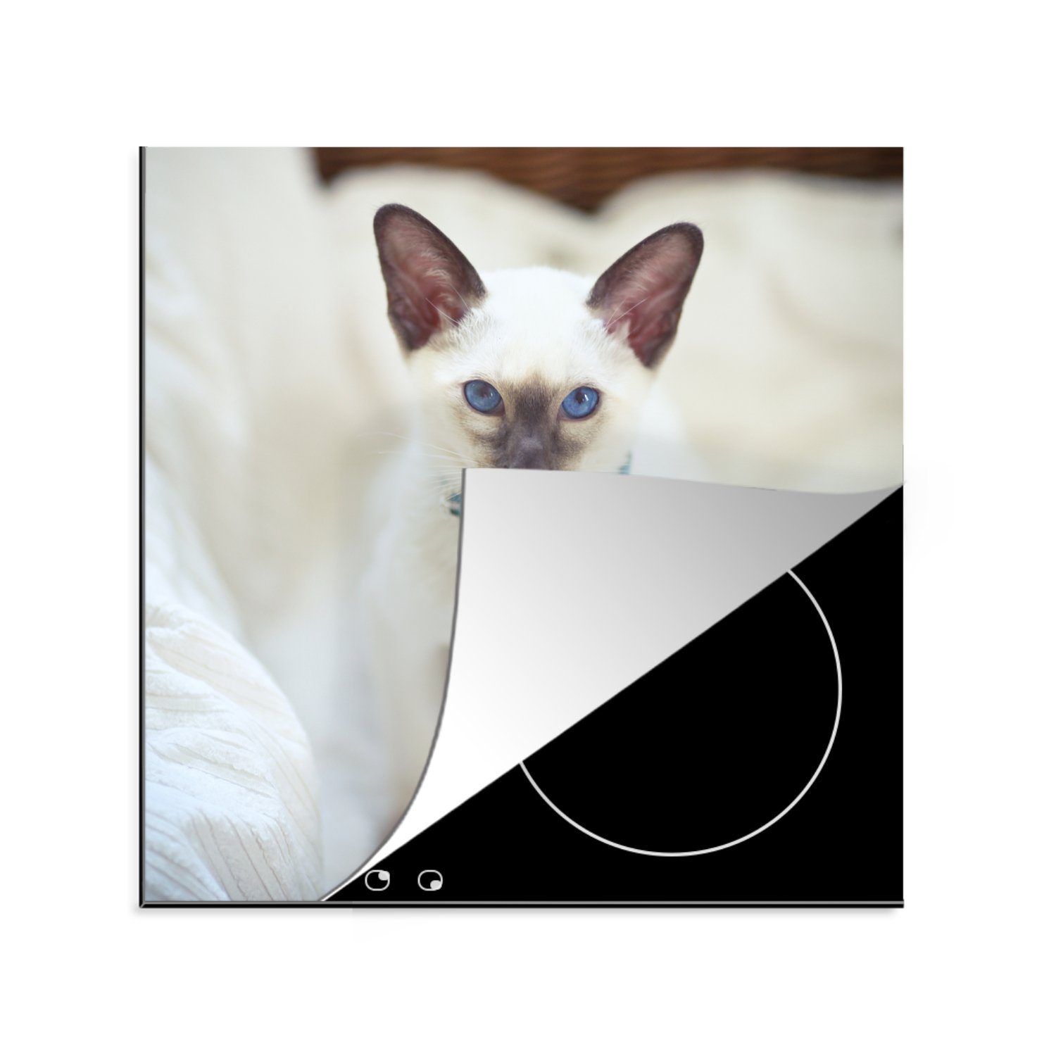 MuchoWow Herdblende-/Abdeckplatte Eine weiß gefärbte Ceranfeldabdeckung, tlg), für Katze, (1 Vinyl, Arbeitsplatte 78x78 Siamesische cm, küche