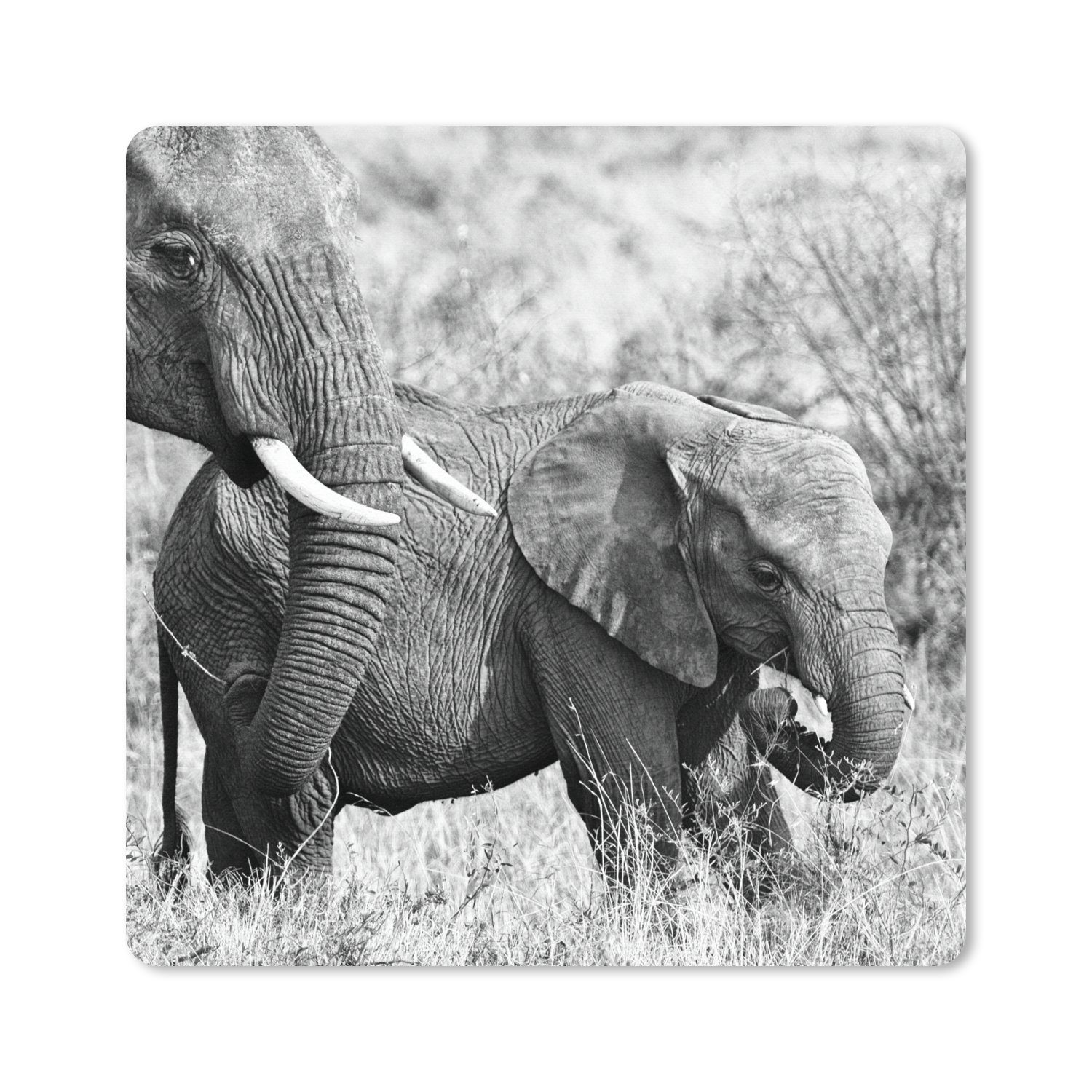 MuchoWow Gaming Mauspad Elefantenbaby und seine Mutter in Kenia in schwarz-weiß (1-St), Mousepad mit Rutschfester Unterseite, Gaming, 40x40 cm, XXL, Großes
