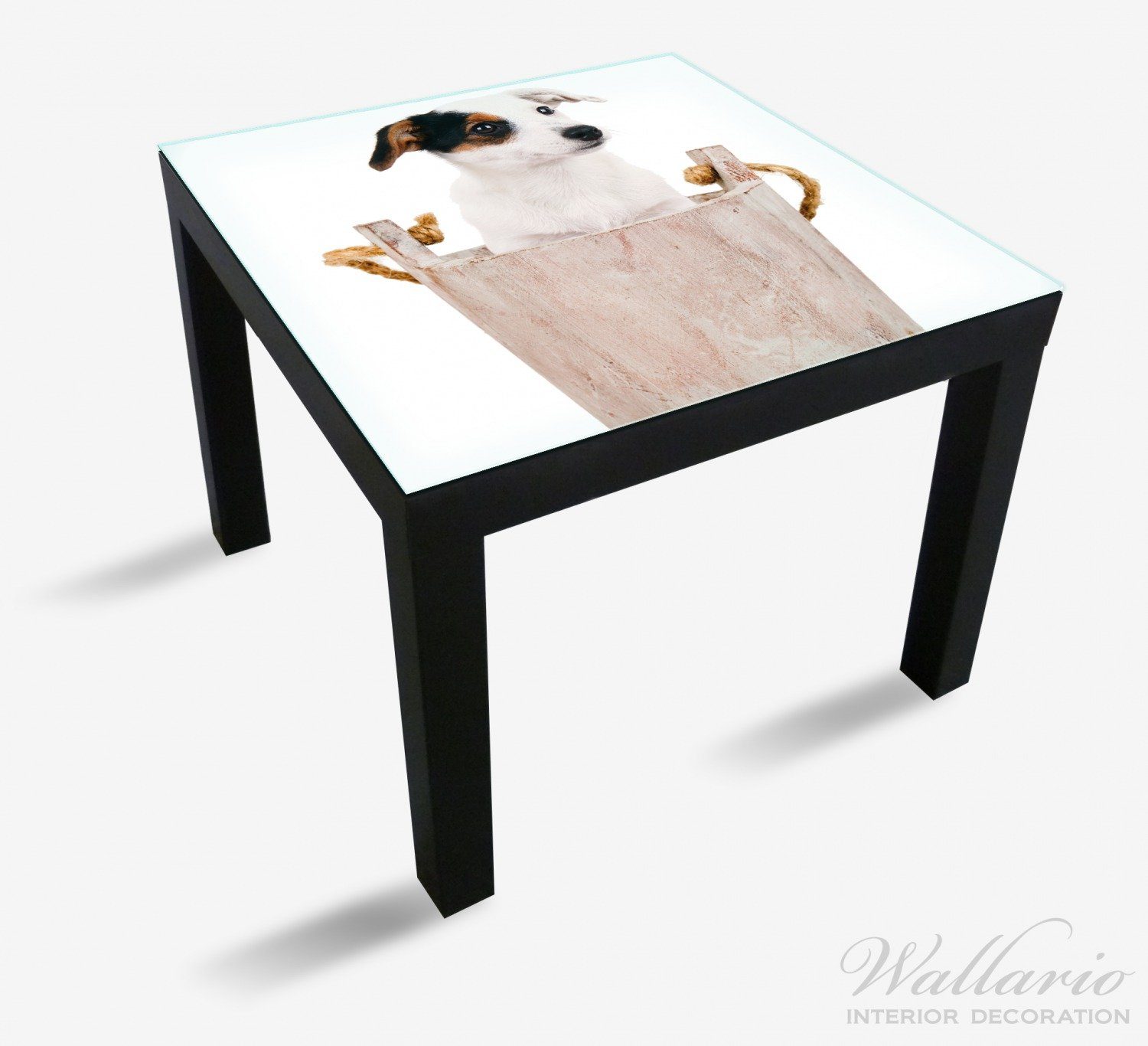 Hunde-Welpe Holzeimer (1 einem St), Tisch Jack Tischplatte Terrier Ikea Wallario geeignet in für Russel Lack