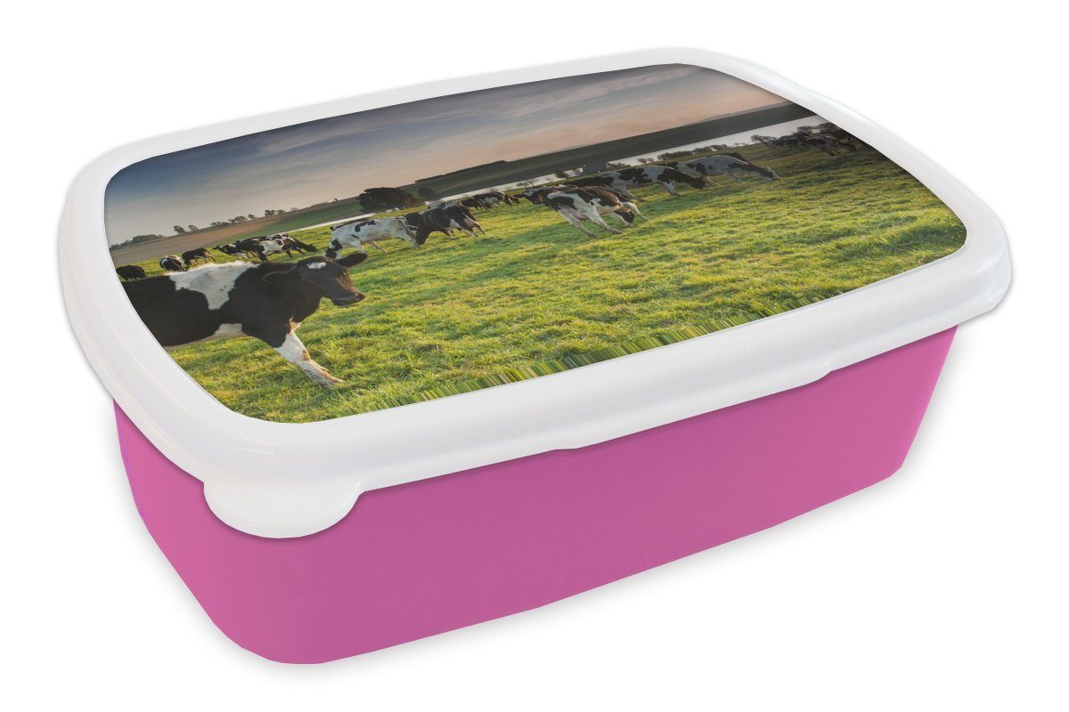 MuchoWow Lunchbox Kuh - Gras - Sonnenuntergang, Kunststoff, (2-tlg), Brotbox für Erwachsene, Brotdose Kinder, Snackbox, Mädchen, Kunststoff rosa