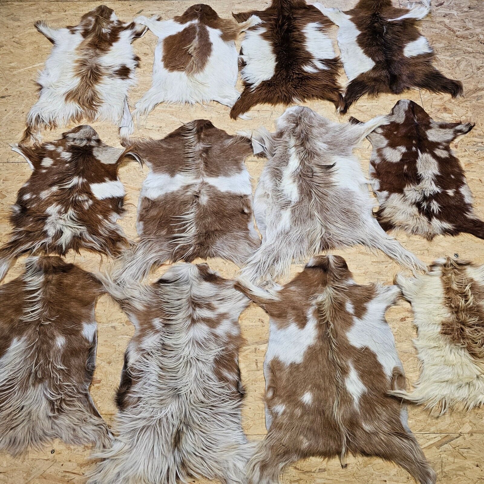 Provellus Fellteppich Ziegenfell Naturfarben Unikat Fellteppich 80-100cm, 8 günstig online kaufen