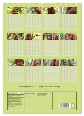 CALVENDO Wandkalender Familienplaner 2023 - Orang Utans im Dschungel (Premium, hochwertiger DIN A2 Wandkalender 2023, Kunstdruck in Hochglanz)