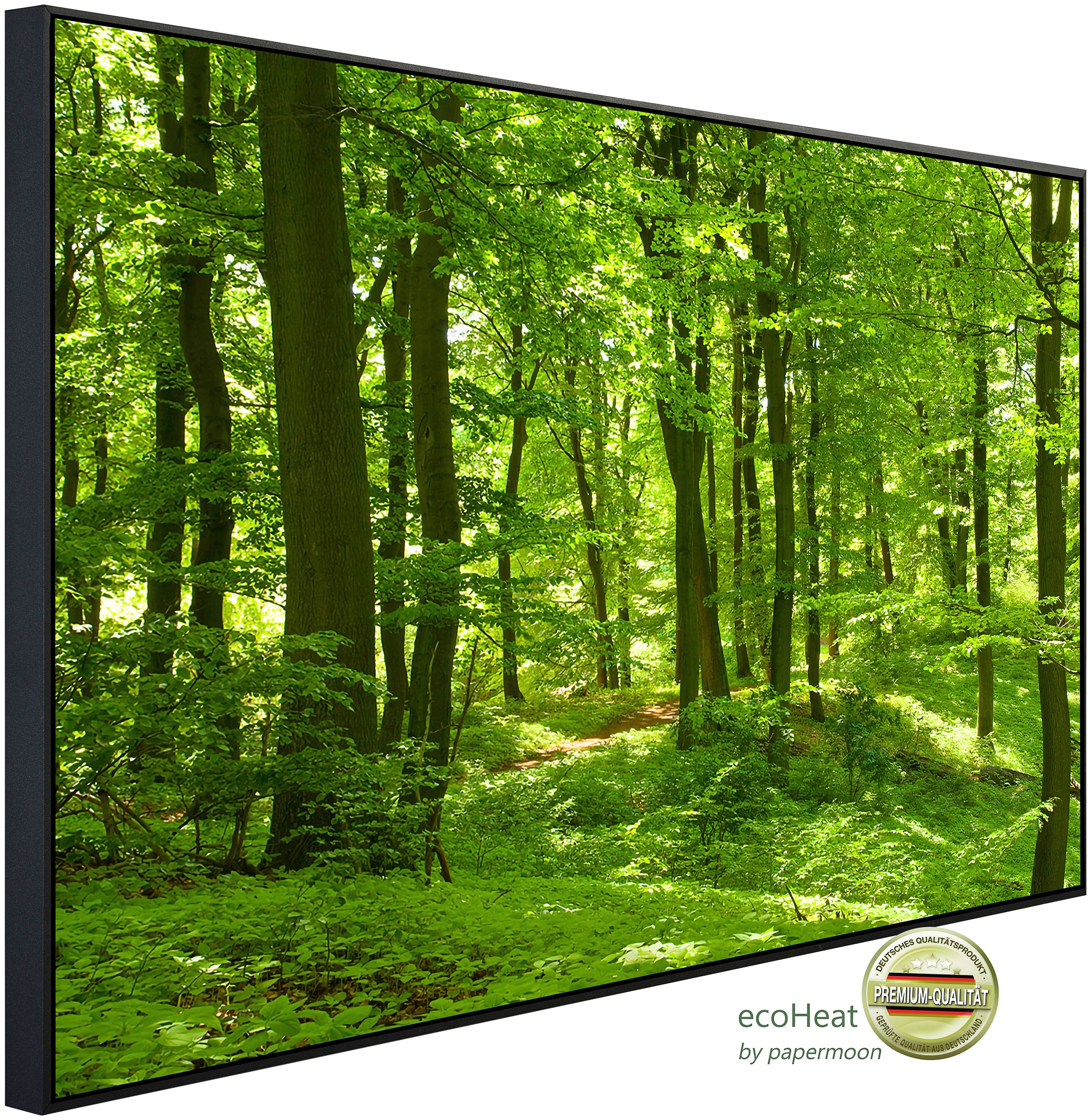 Infrarotheizung Wald im Frühling