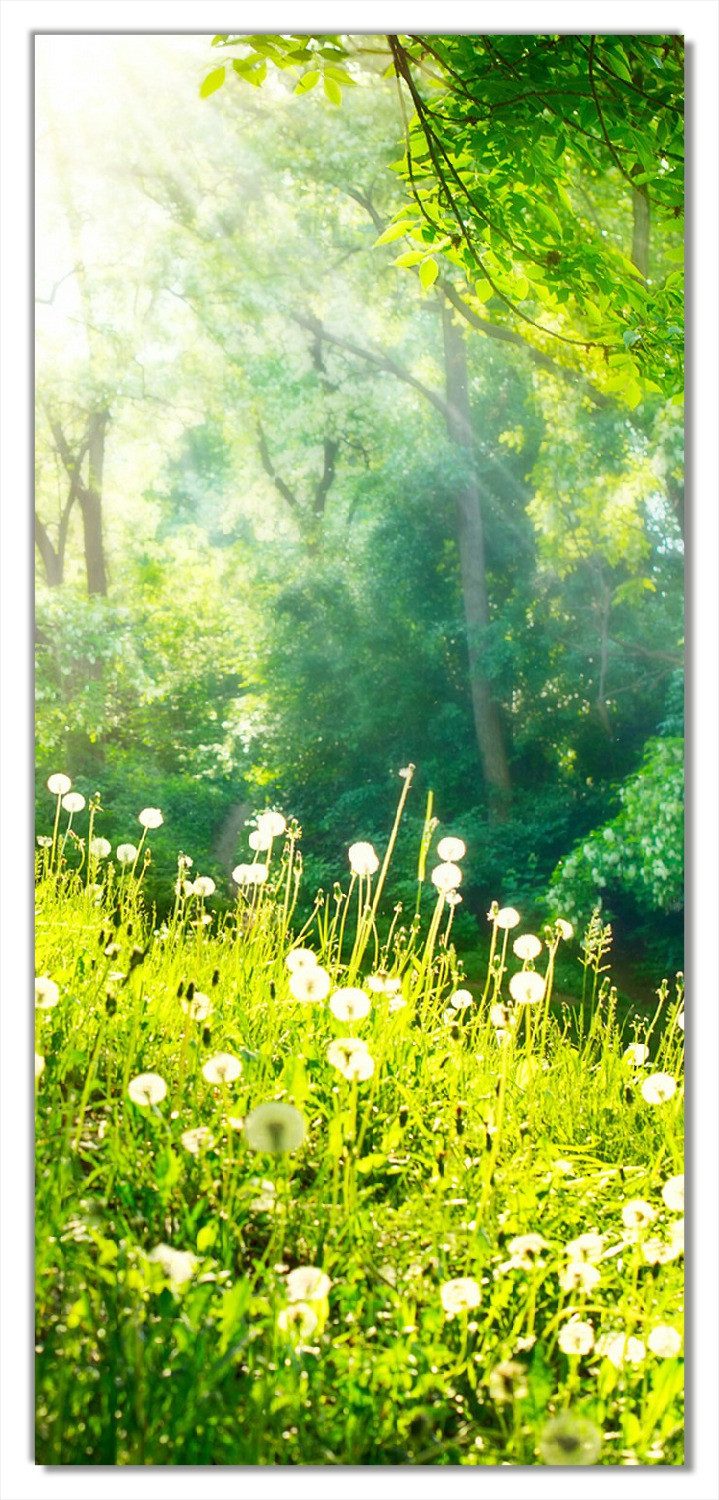 Wallario Türtapete Pusteblumen im Wald mit einfallenden Sonnenstrahlen, glatt, ohne Struktur. € 41,95, (€ 21,96 pro 1 qm).