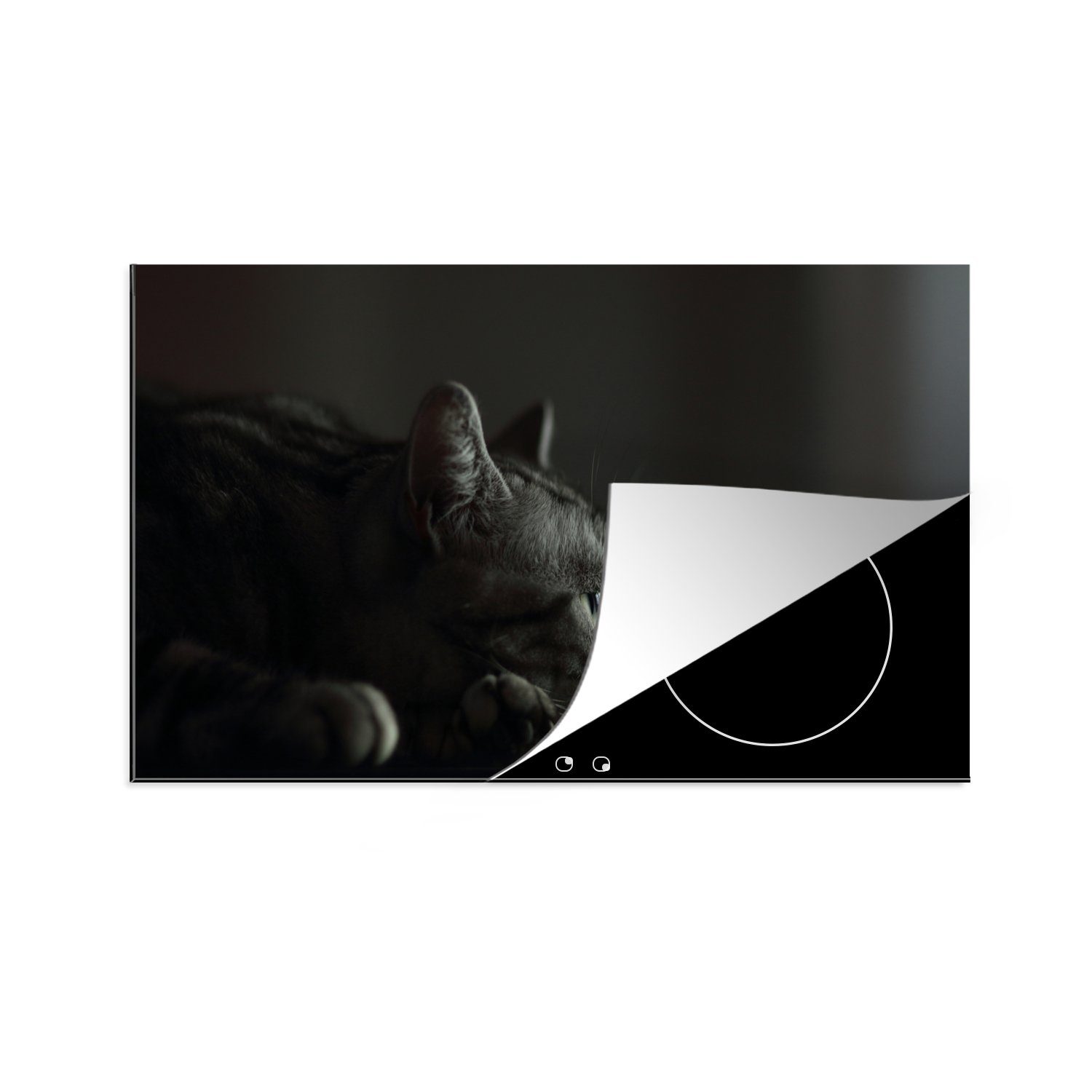 MuchoWow Herd-Abdeckplatte Ein American Shorthair liegt auf dem Tisch, Vinyl, (1 tlg), Herdplattenabdeckung für Ceranfeld, Herdplatten Vinyl, 83x51 cm