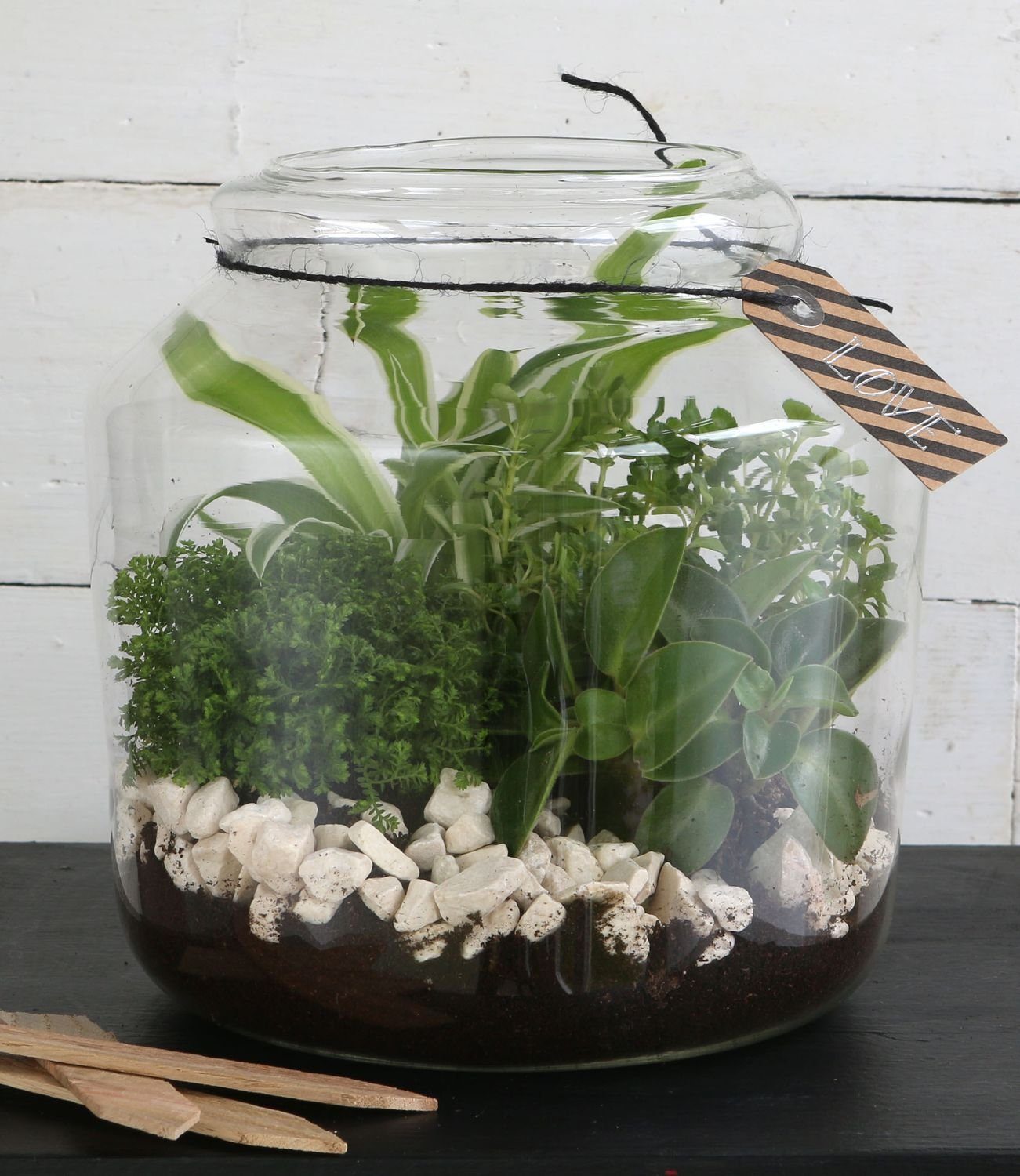 Dekovase Terrarium Korken Glas, Größe h.18 Ø18 Pflanzen NaDeco aus cm mit