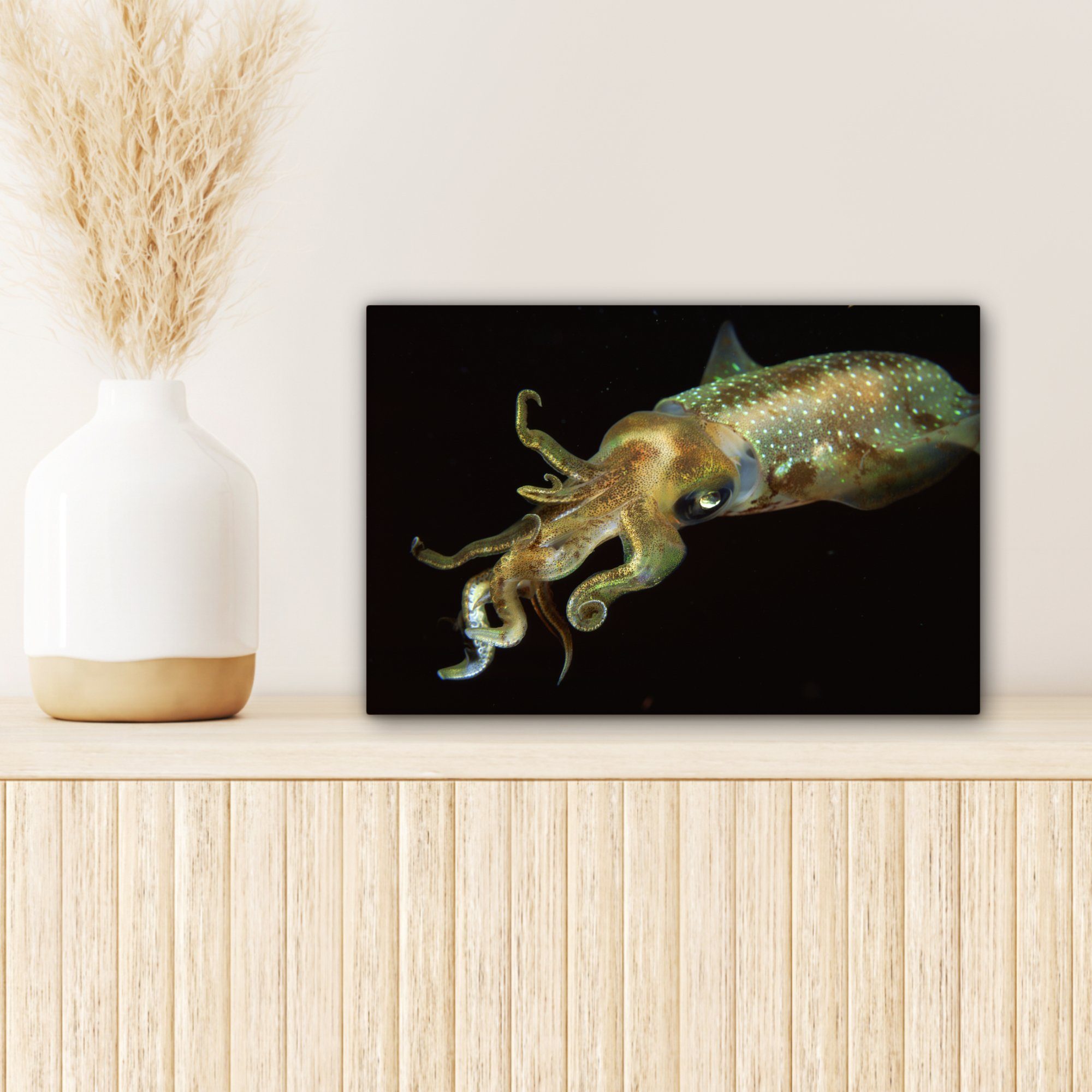OneMillionCanvasses® Leinwandbild Schwarz, Wanddeko, St), Tintenfisch Aufhängefertig, - - Fisch cm Wandbild 30x20 (1 Leinwandbilder
