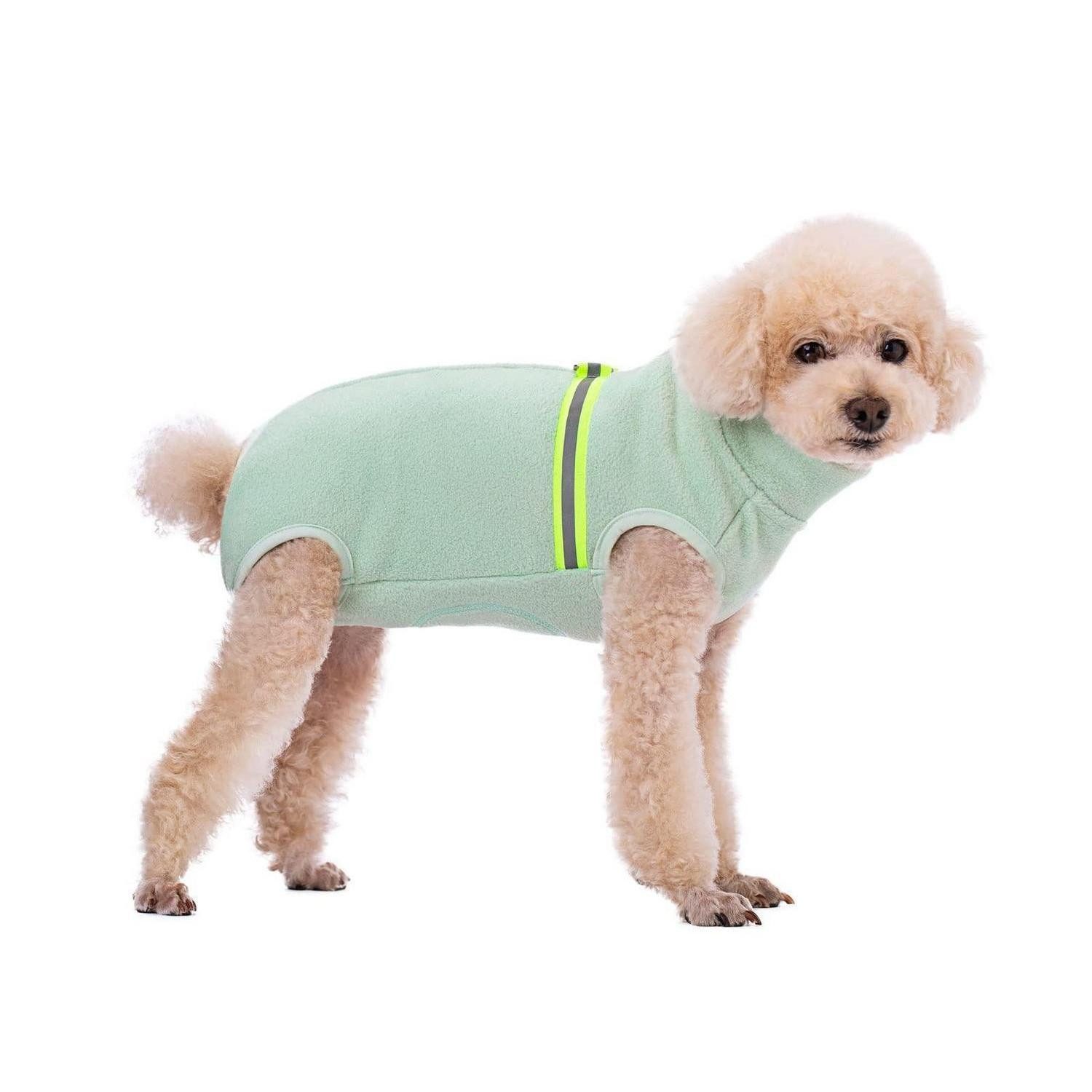 LuxusKollektion Hundejacke Hunde-Sweatshirt Fleece Mintgrün L