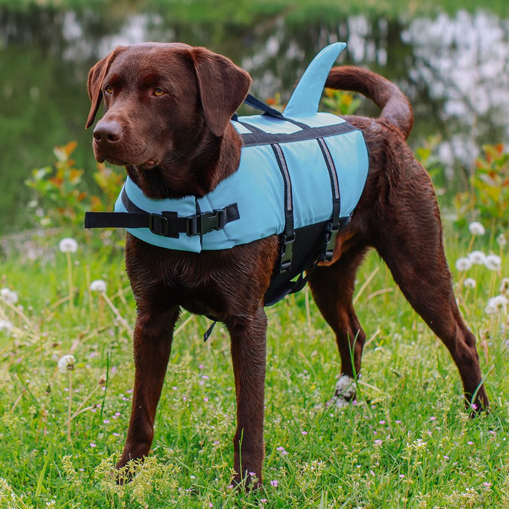 Nobby Hundeweste Schwimmhilfe "Sharki"