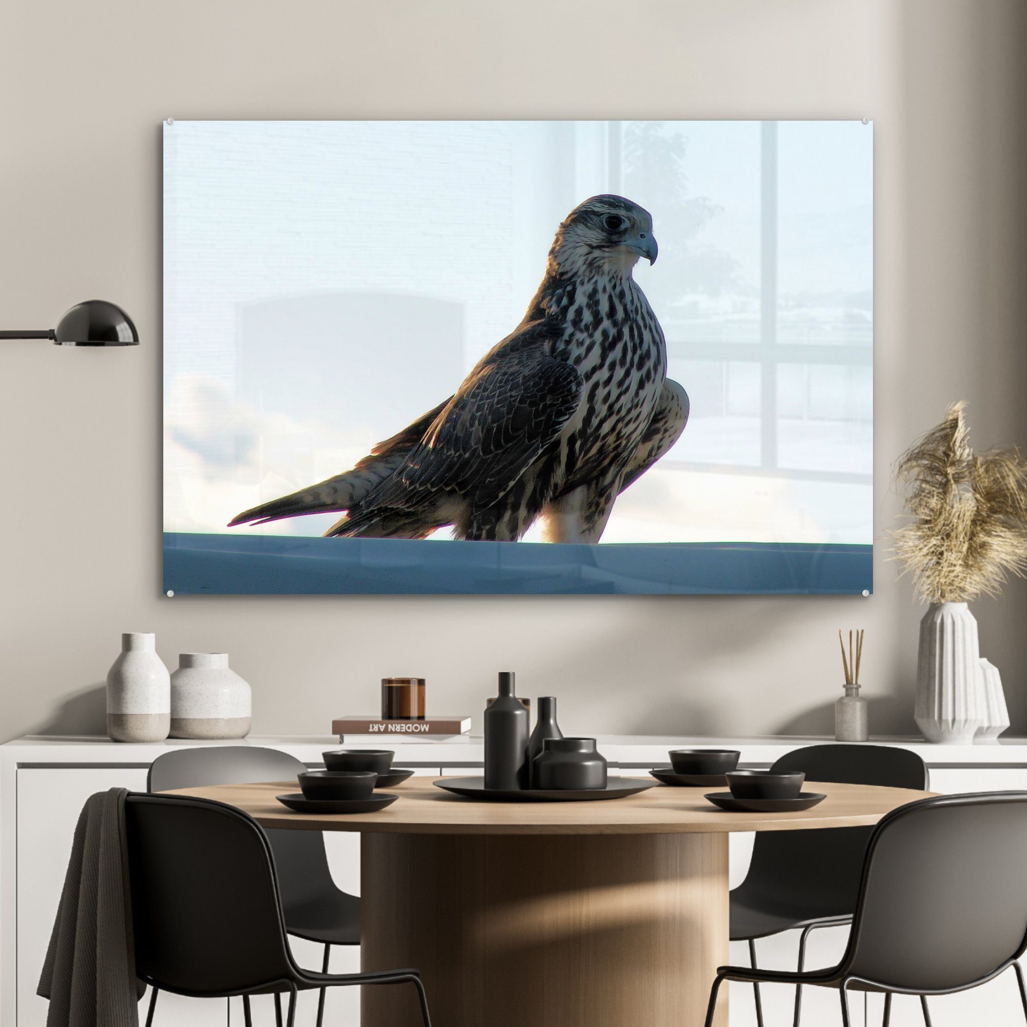 MuchoWow Acrylglasbild Falke (1 & St), Portugal - Wohnzimmer Acrylglasbilder Vogel, - Schlafzimmer