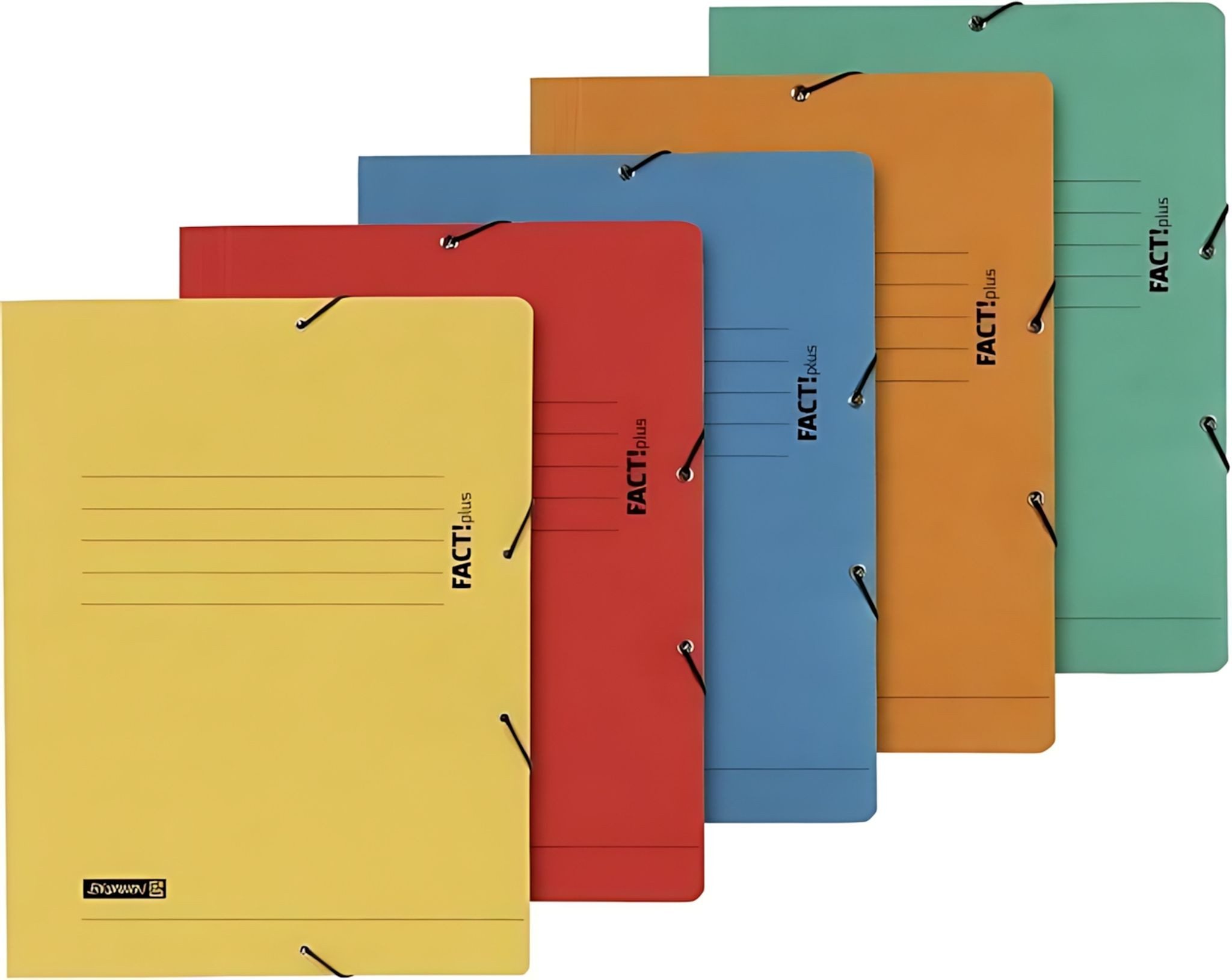 BRUNNEN Organisationsmappe BRUNNEN Sammelmappe A4 FACT! mit Gummizug sortiert 102015495