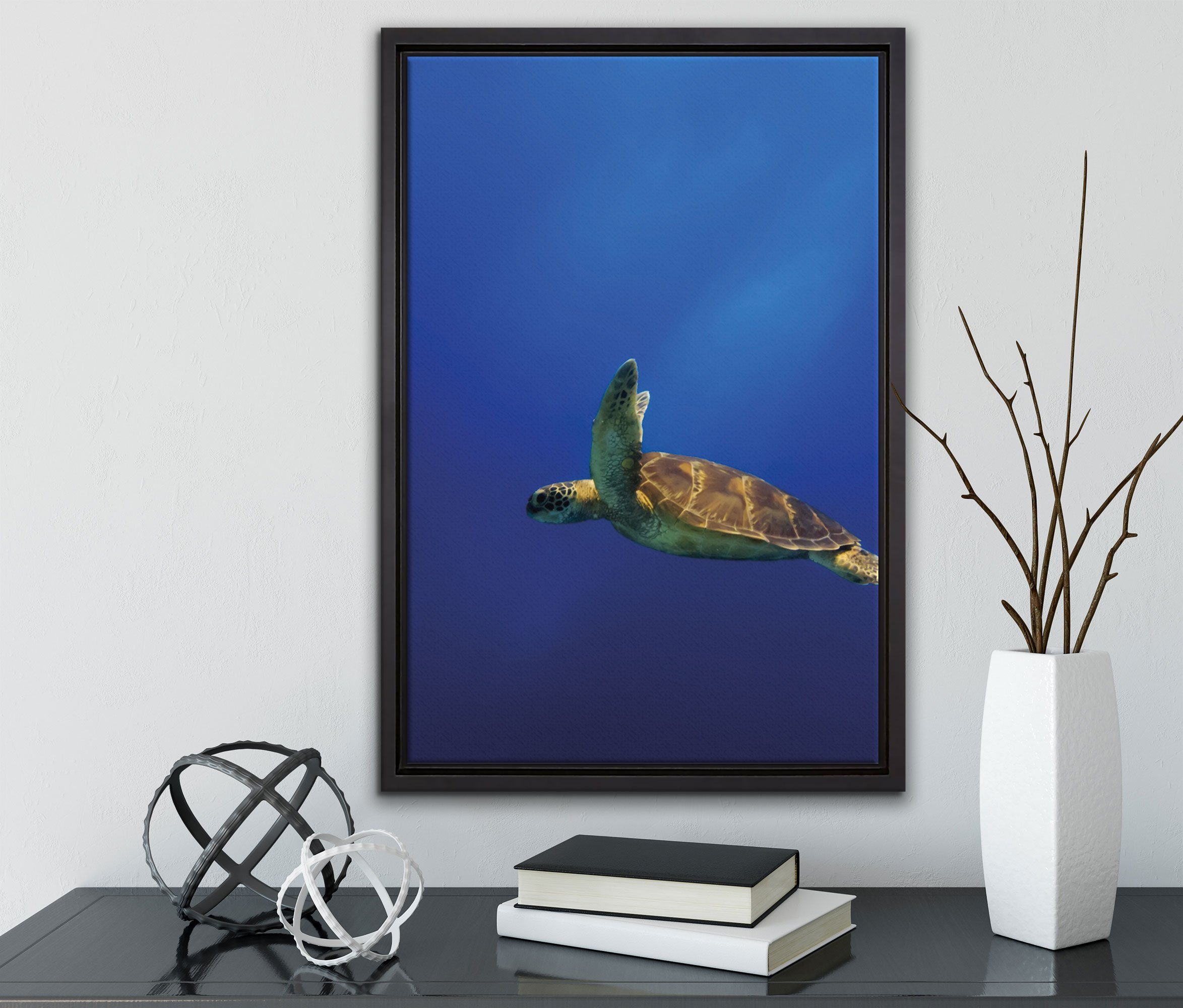 inkl. Meer, in Leinwandbild St), einem im fertig bespannt, Pixxprint (1 Wanddekoration Schildkröte Schattenfugen-Bilderrahmen Zackenaufhänger gefasst, Leinwandbild