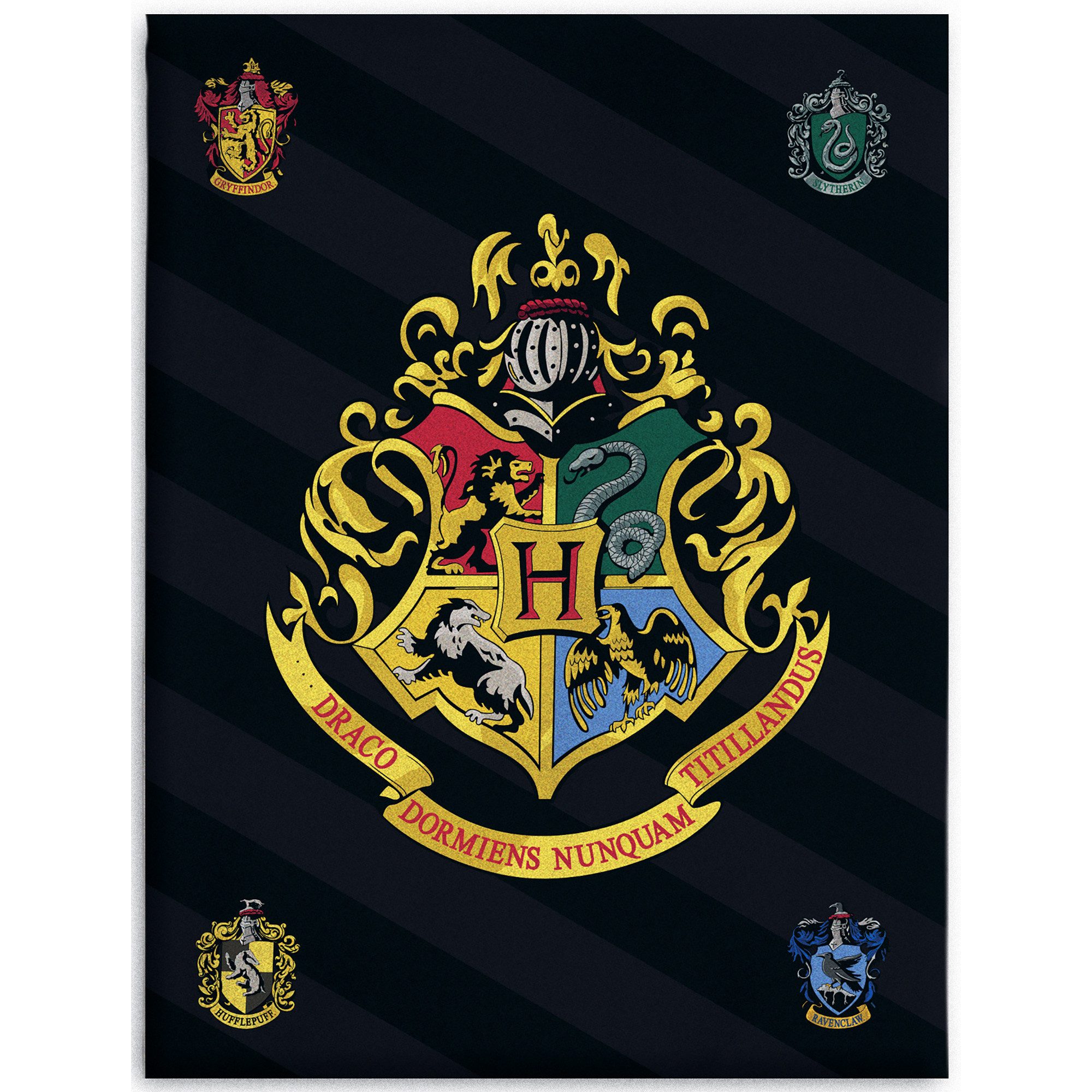 Kinderdecke Harry Potter Decke Hogwarts 150x200 cm Kuscheldecke Fleecedecke günstig online kaufen