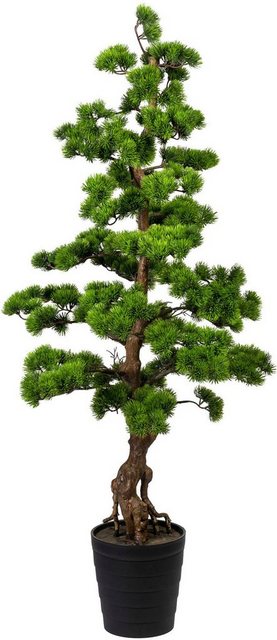 Kunstbonsai »Bonsai Kiefer« Bonsai Kiefer, Creativ green, Höhe 140 cm-Otto