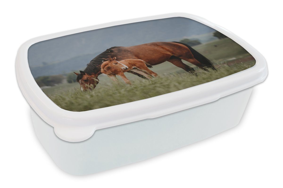 für weiß Natur, - Kunststoff, MuchoWow - Brotbox Kinder Fohlen und Lunchbox Erwachsene, Brotdose, und (2-tlg), für Mädchen Pferde Jungs