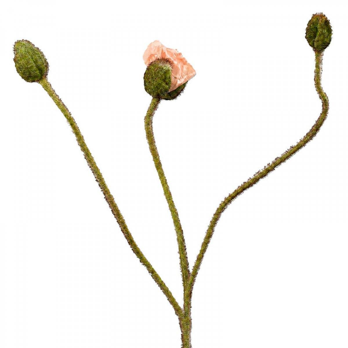 Künstliche Zimmerpflanze Seidenblume Mohn Knospen Pfirsich (87cm), SILK-KA