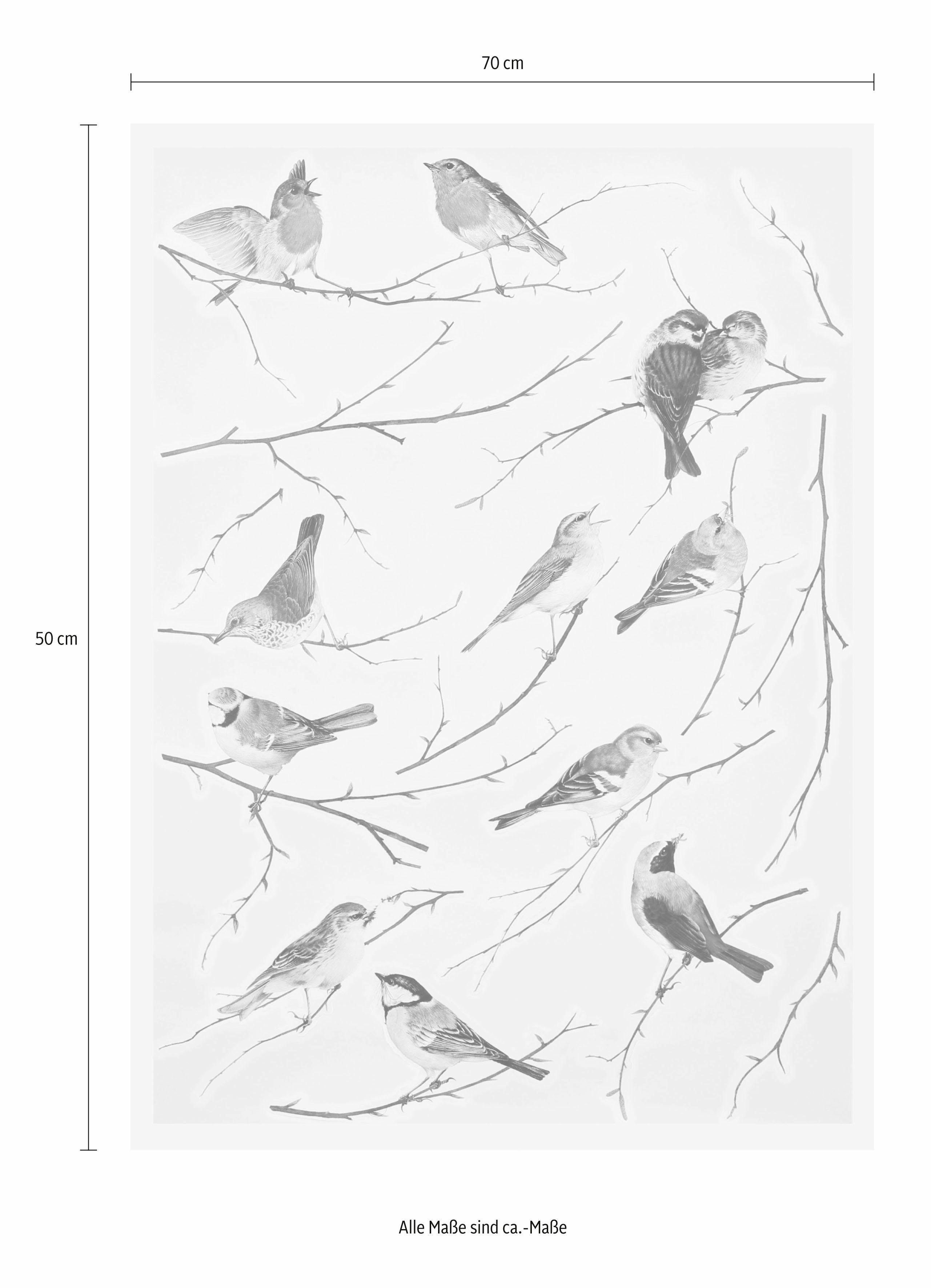 Komar Wandtattoo Vogerl - Größe 50 x 70 cm, selbstklebend, Wandsticker – Bild 5 von 5