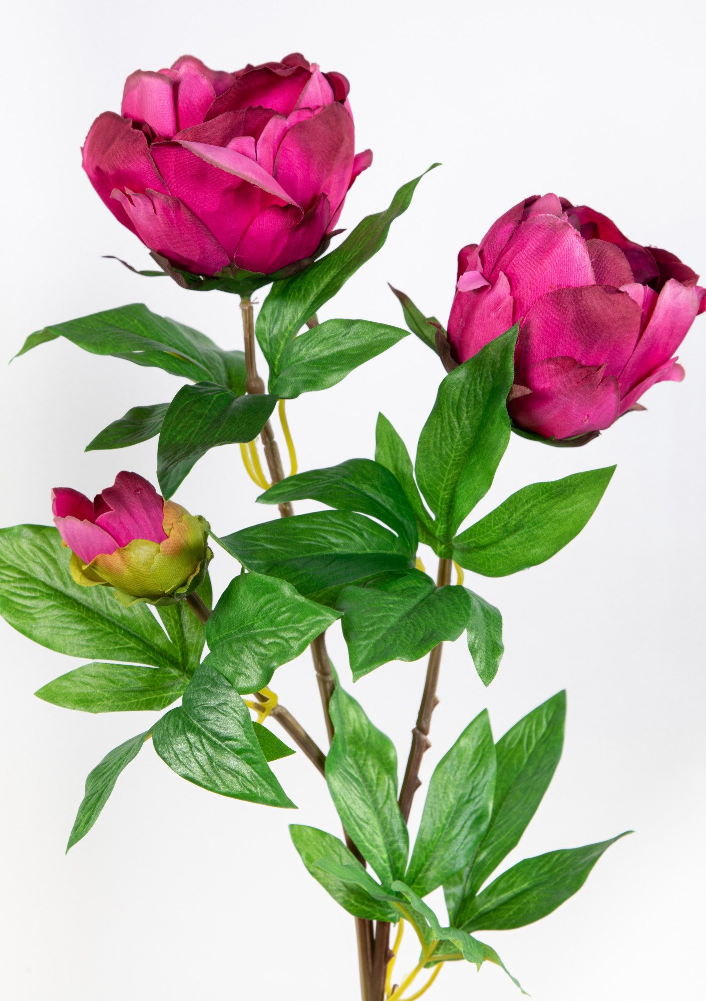 Kunstblume Pfingstrose Nature 68cm GA Seidenblumen künstliche Blumen Päonie, Seidenblumen Roß, Höhe 68 cm, Fuchsia