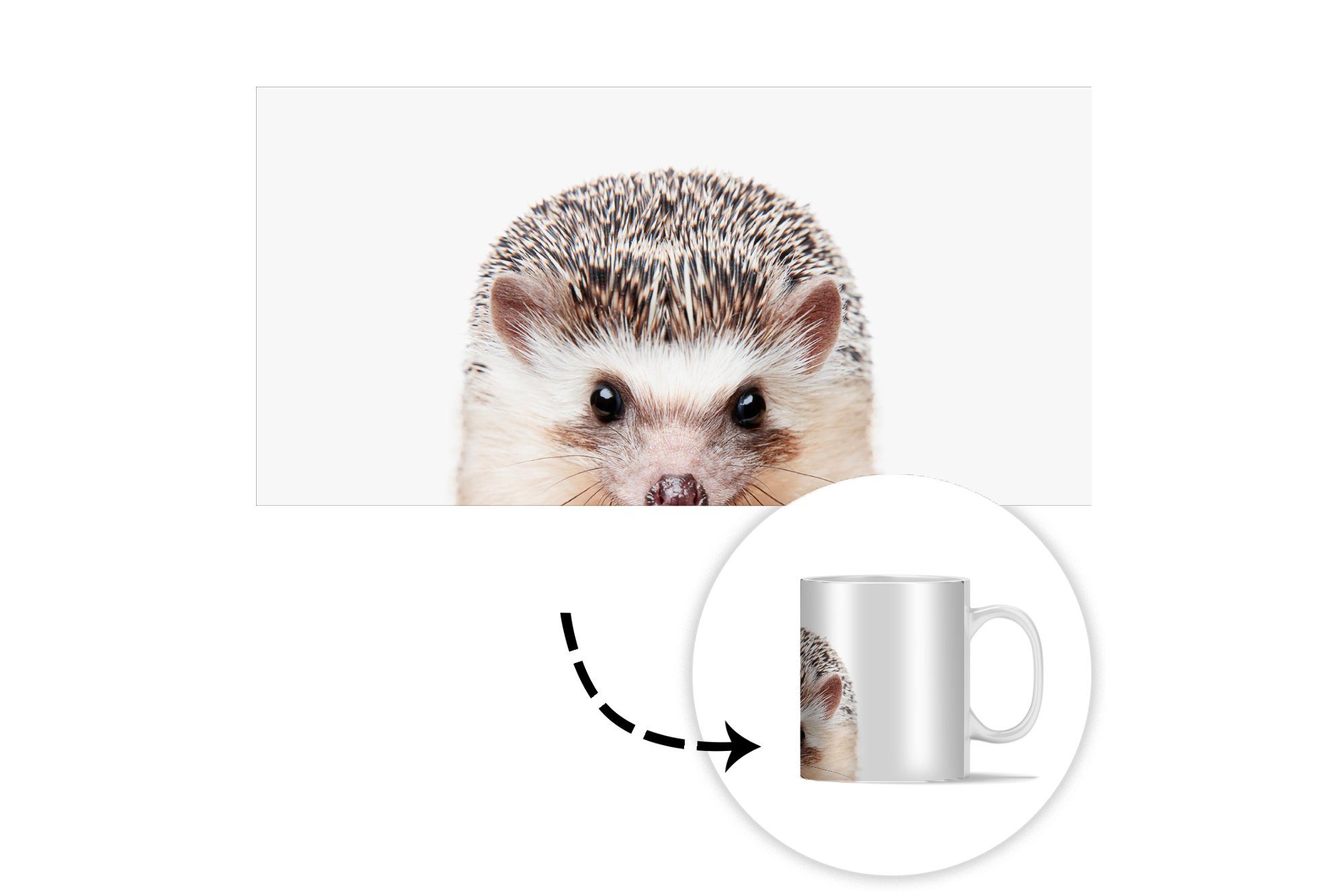 Teetasse, Weiß, Tiere Kaffeetassen, MuchoWow - - Geschenk Igel Tasse Teetasse, Natur - Keramik, Becher,